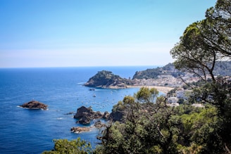 a scenic view of a beach with many boats in the water