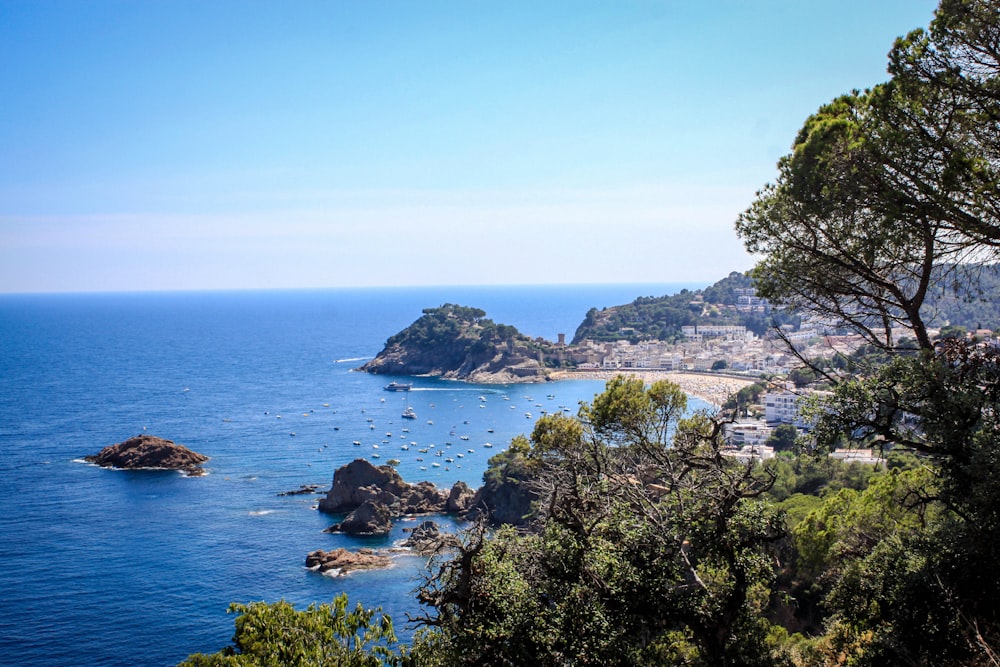 une vue panoramique d’une plage avec de nombreux bateaux dans l’eau