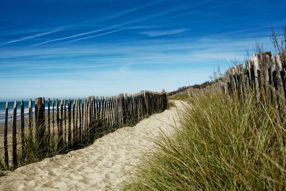 uma cerca de madeira em uma praia de areia ao lado do oceano