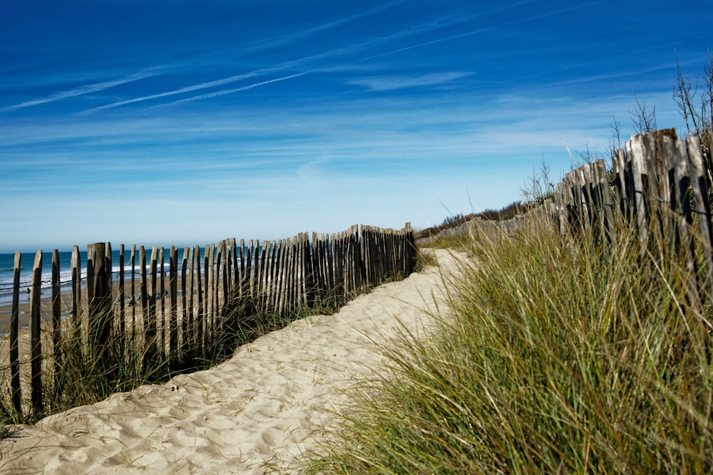 a wooden fence on a sandy beach next to the ocean