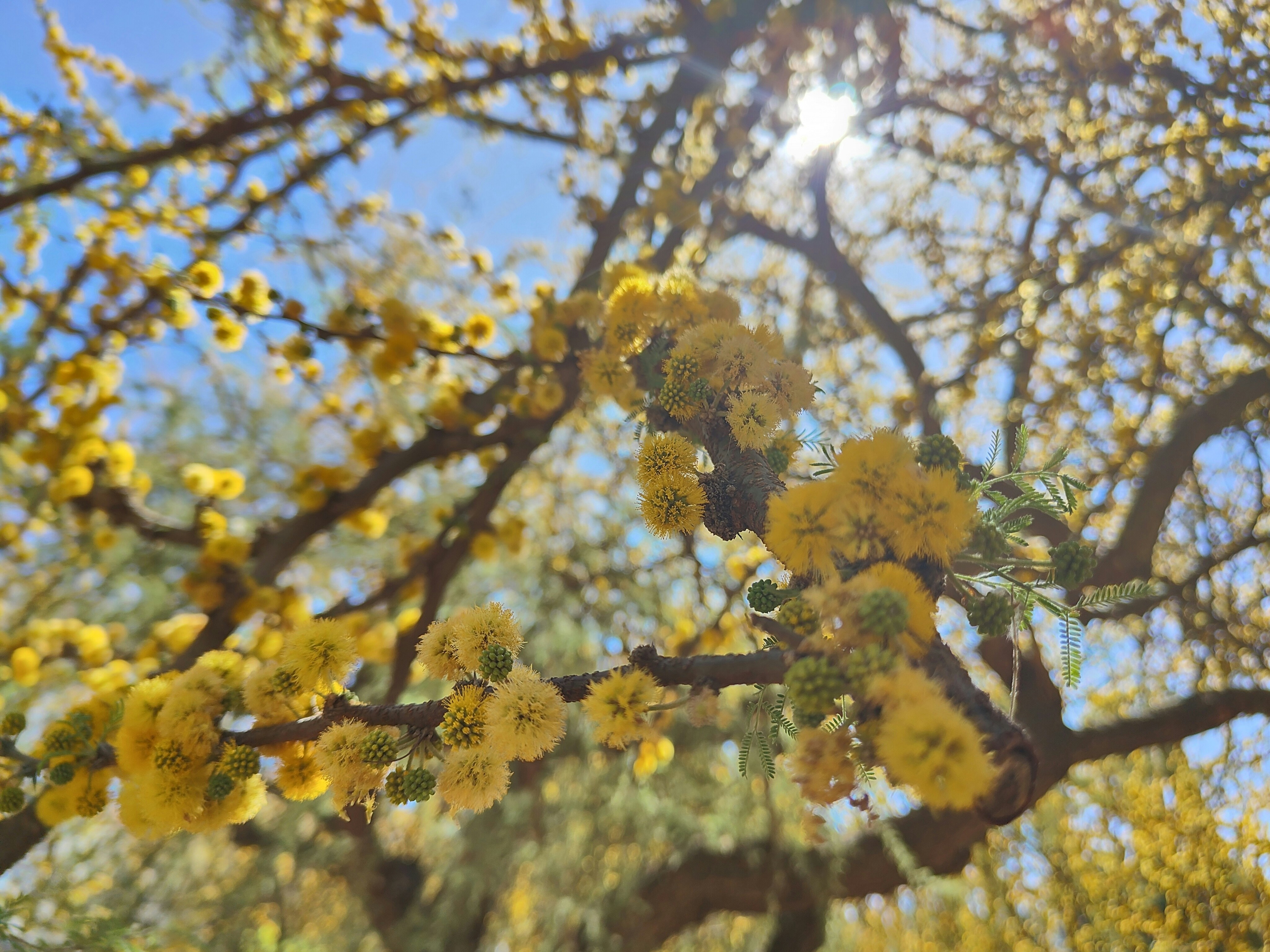 Comprar camisetas de futbol baratas tailandia