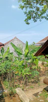 Spacious backyard garden perfect for family gatherings in Araguaína