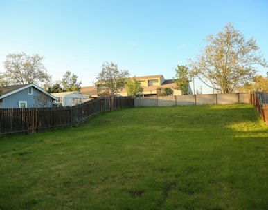 a grassy yard with a fence and a house in the background