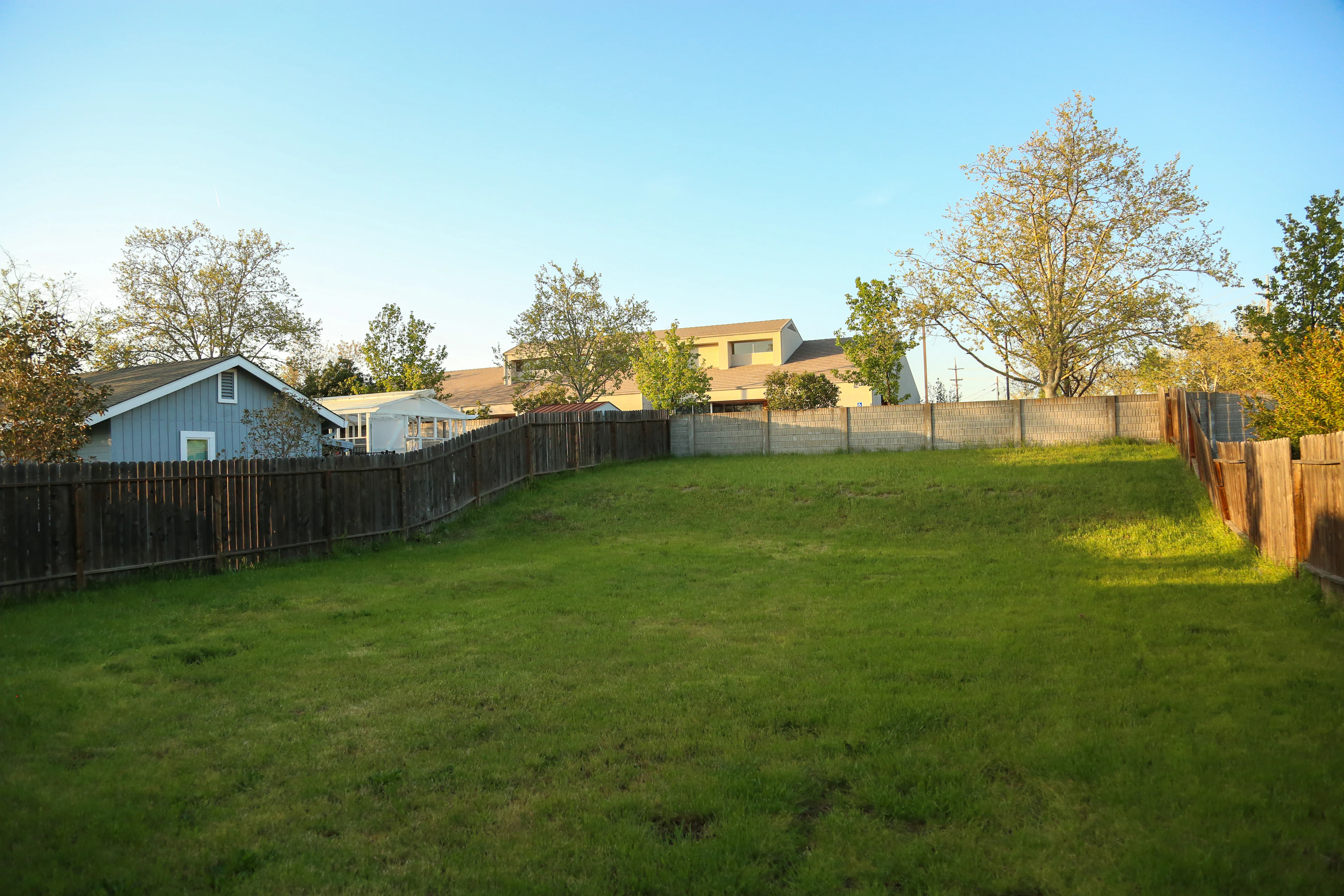 After: Green backyard lawn with a wooden fence