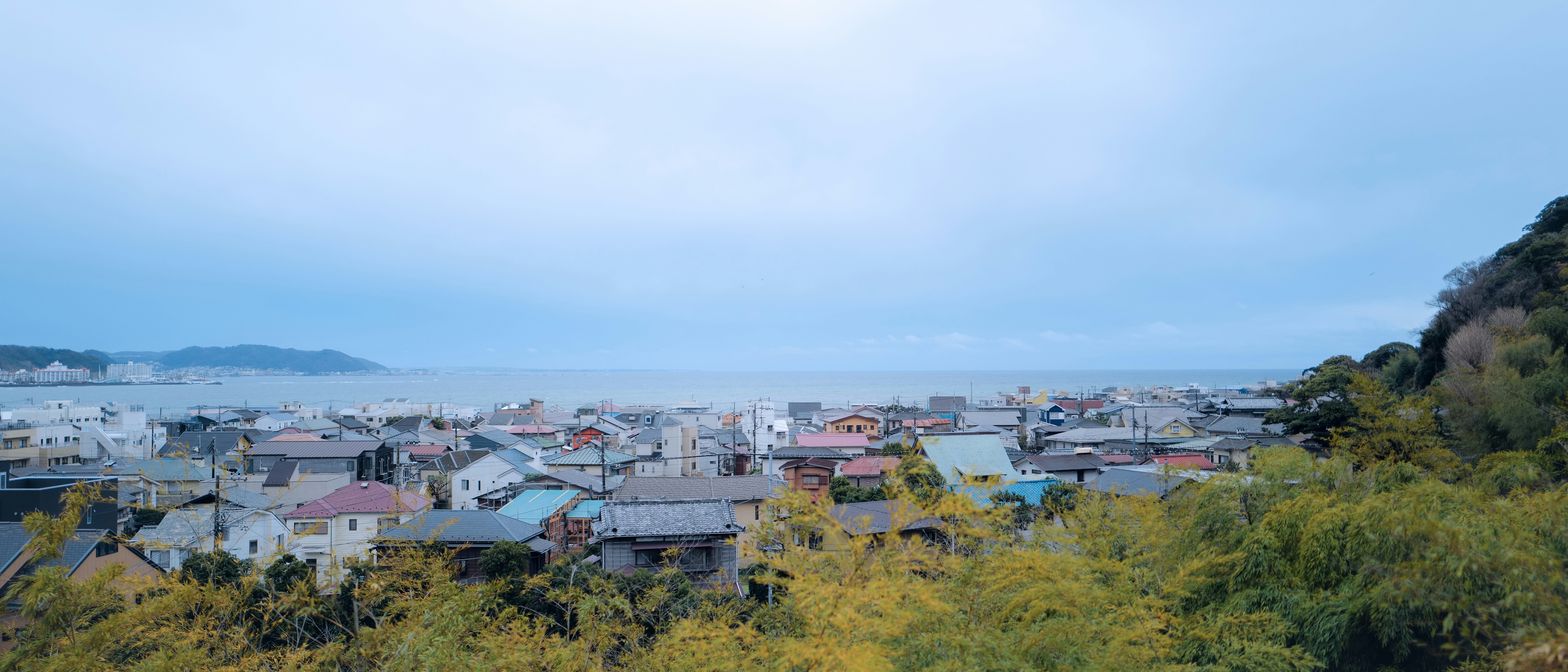Photo by _may_