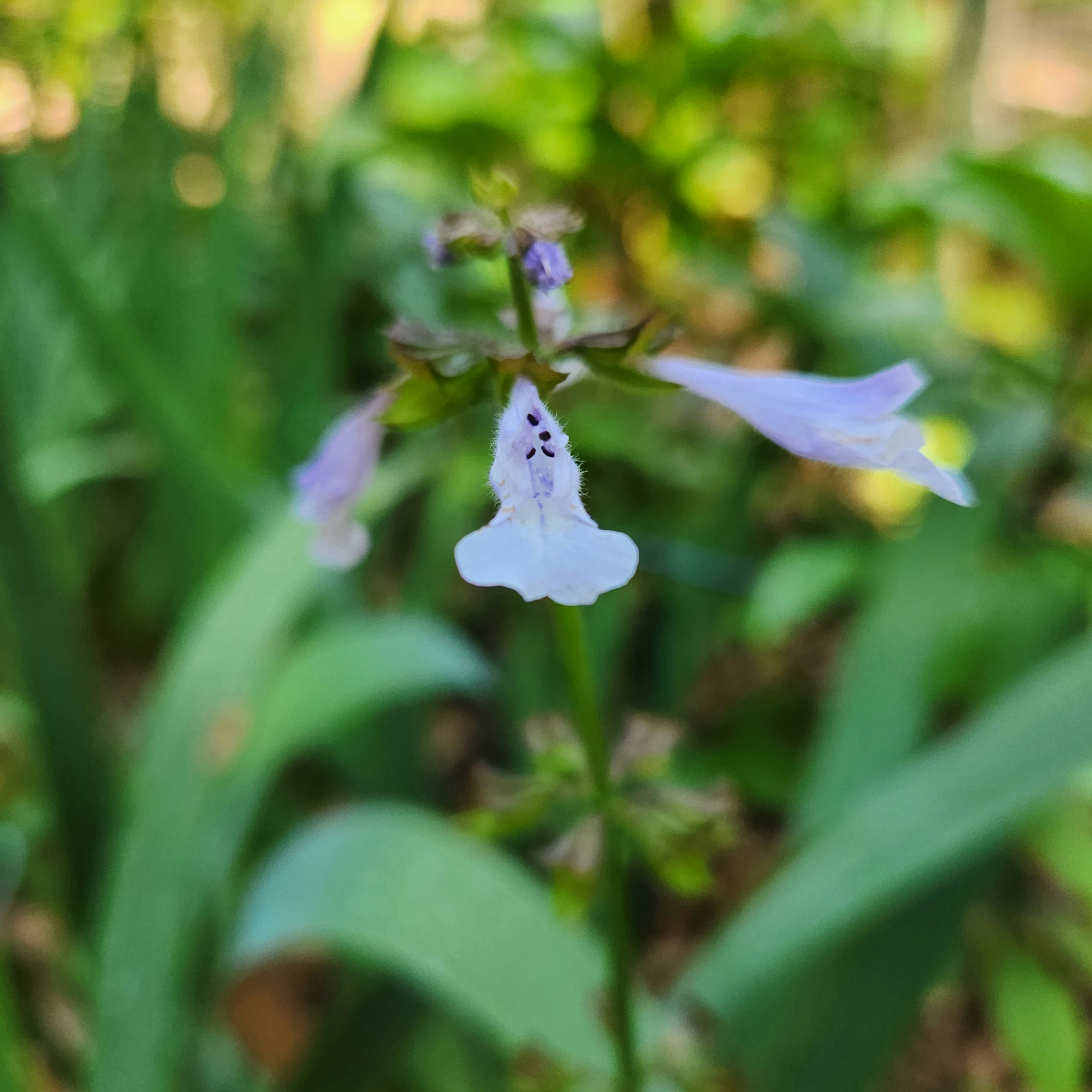 Photo by persiaalcarraza