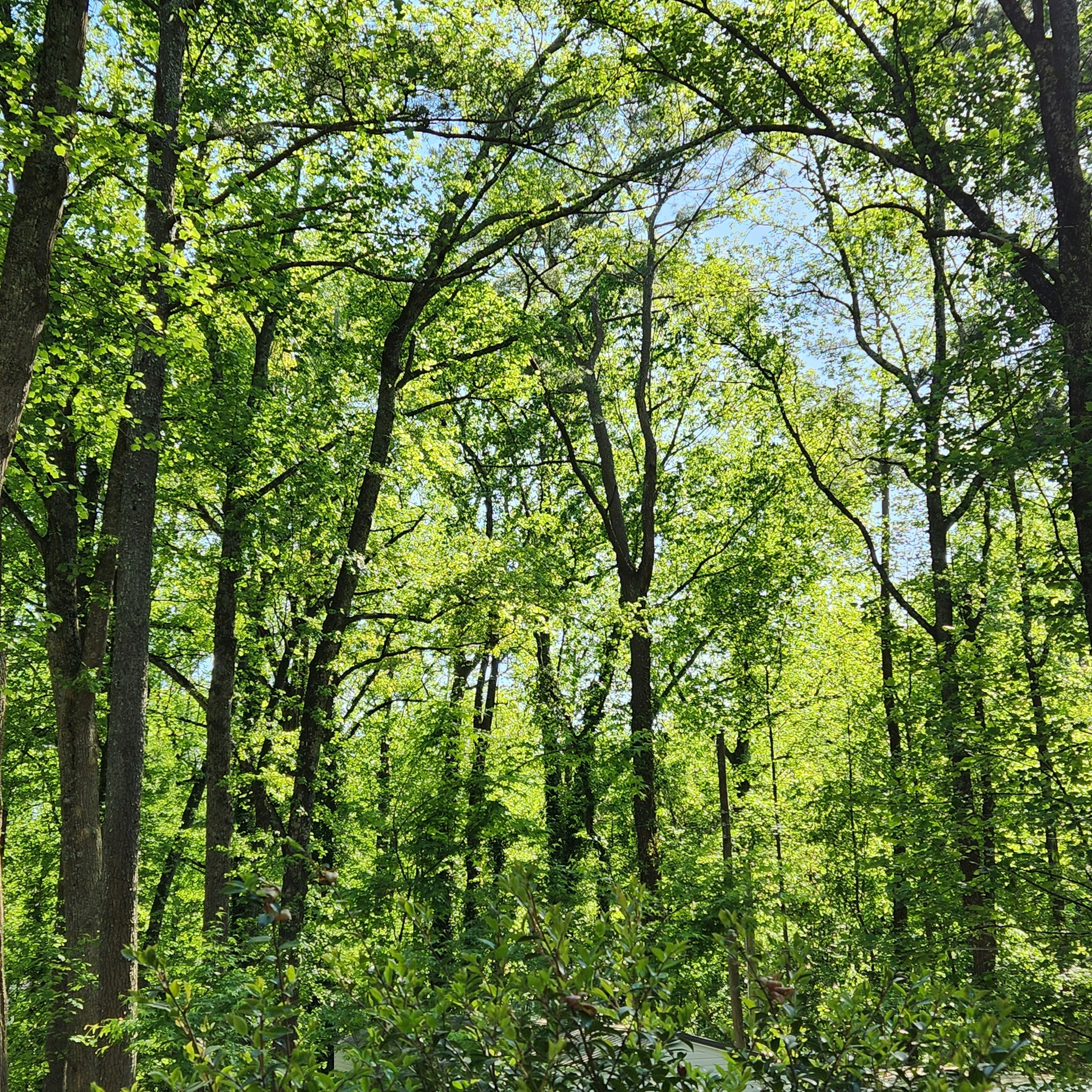 Photo by persiaalcarraza