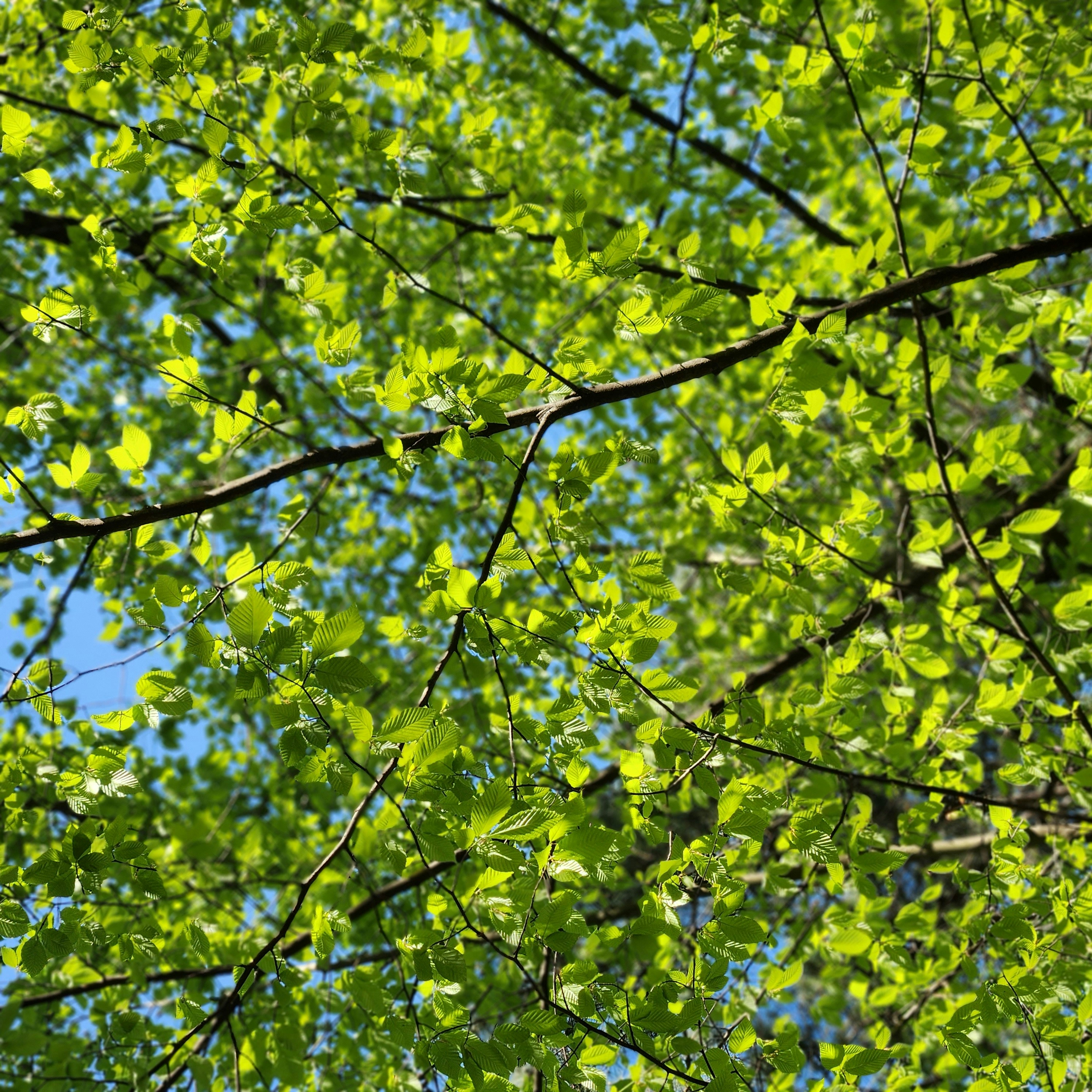 Photo by persiaalcarraza