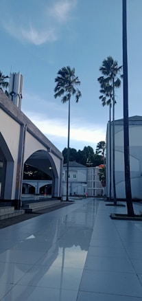 A plaza is lined with tall palm trees and modern buildings with archways. The pathway is reflective and appears freshly wet, mirroring the sky which has a serene blue hue. The architecture is minimalist and contemporary, with open spaces and clean lines under a clear sky.