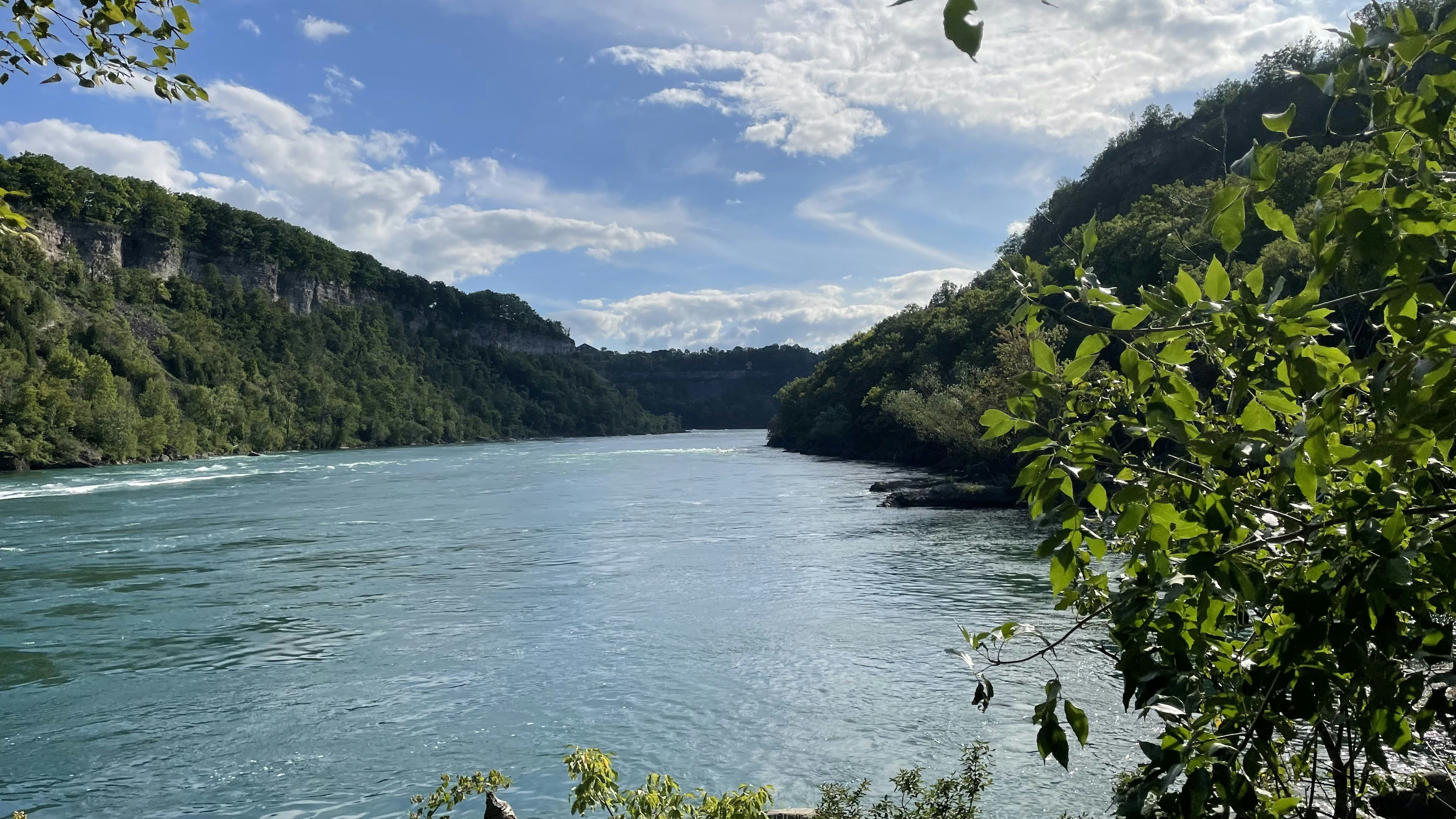 Quiet body of water surrounded by lush green trees under a blue midday sky