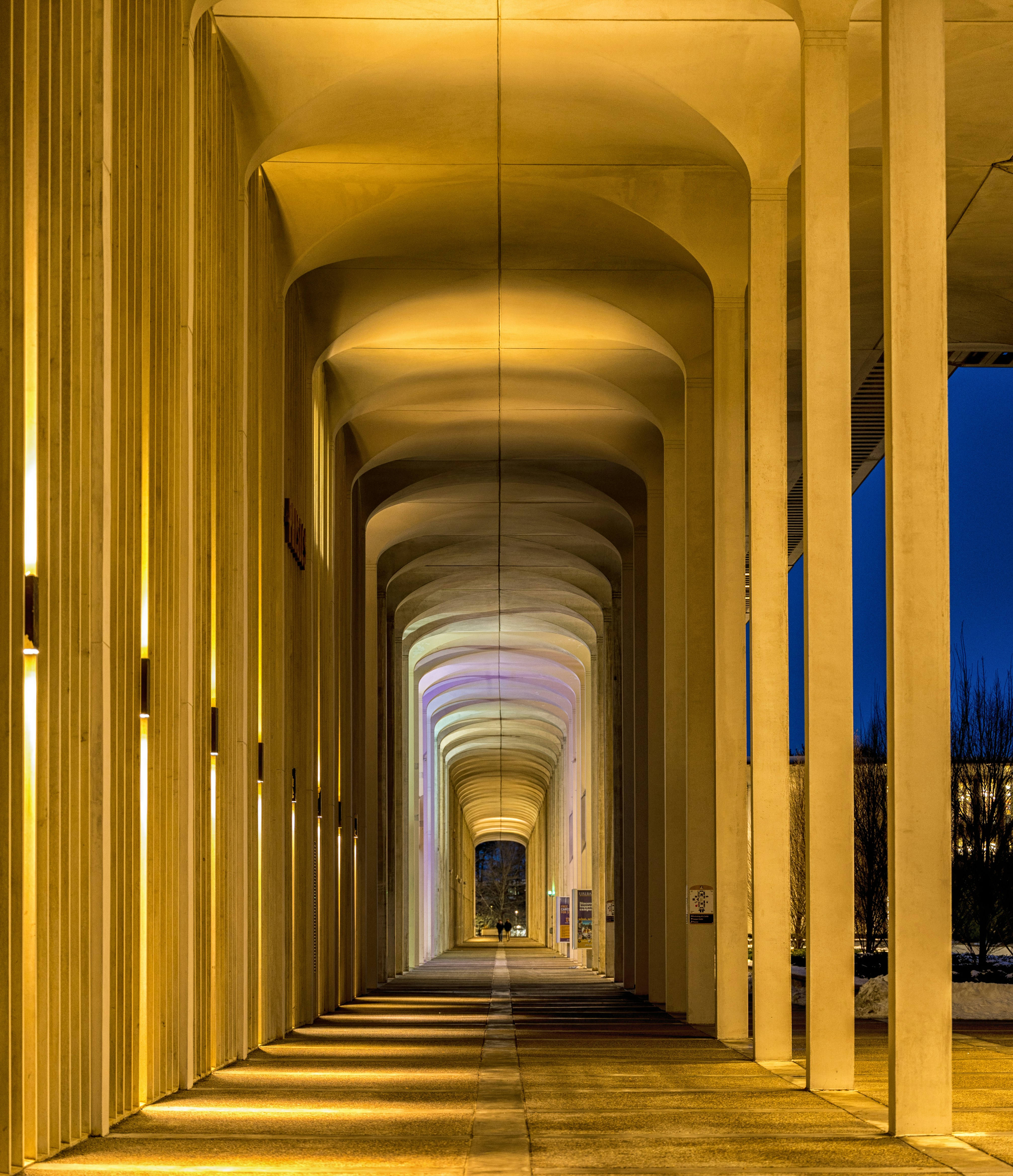 Photo by stevenma1108