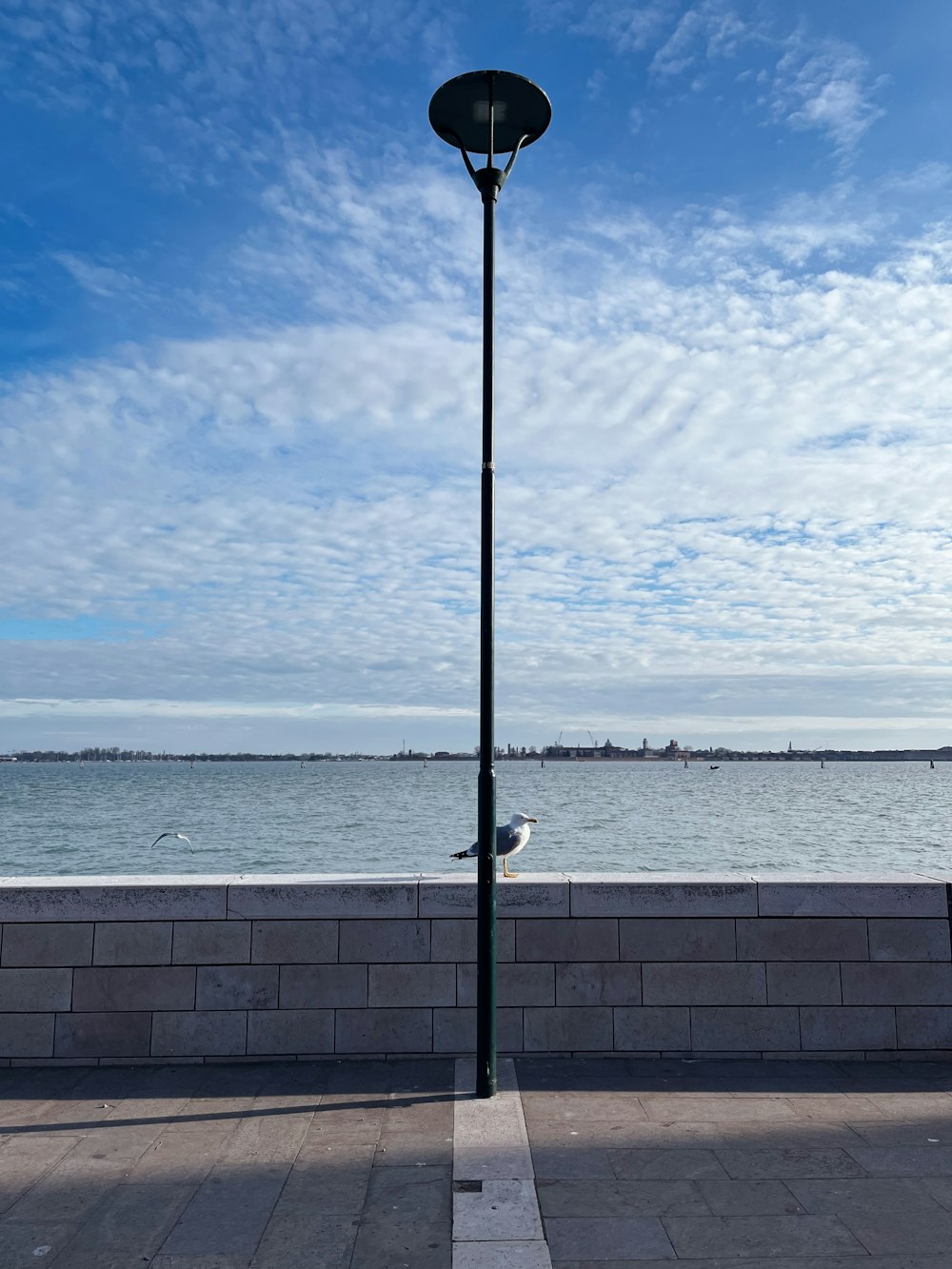 a street light on the side of a road next to a body of water