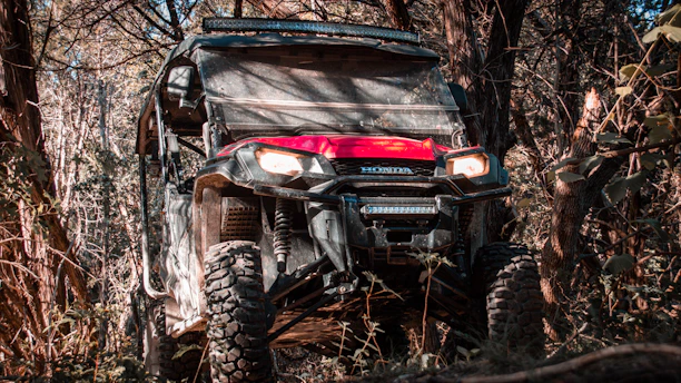 A rugged all-terrain vehicle with large tires navigates through a dense forest. Sunlight filters through the trees, creating dappled light on the vehicle's red hood. The surrounding vegetation is thick, with various leaves and branches obscuring parts of the vehicle.