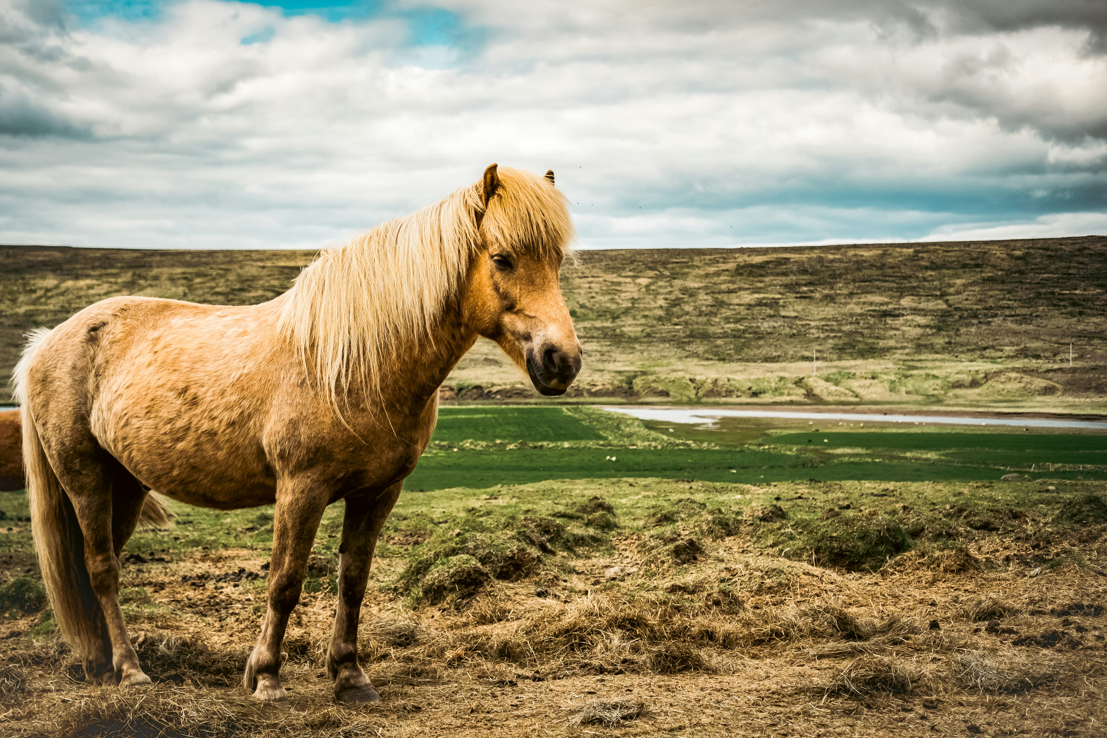 Photo by johnwaynehill