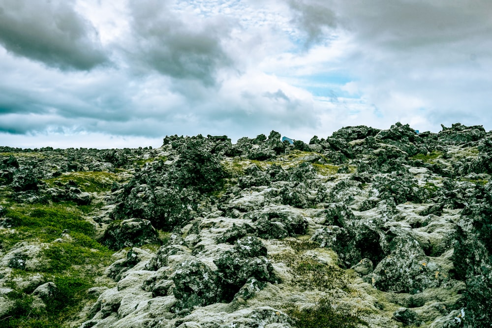 a field of rocks covered in moss under a cloudy sky