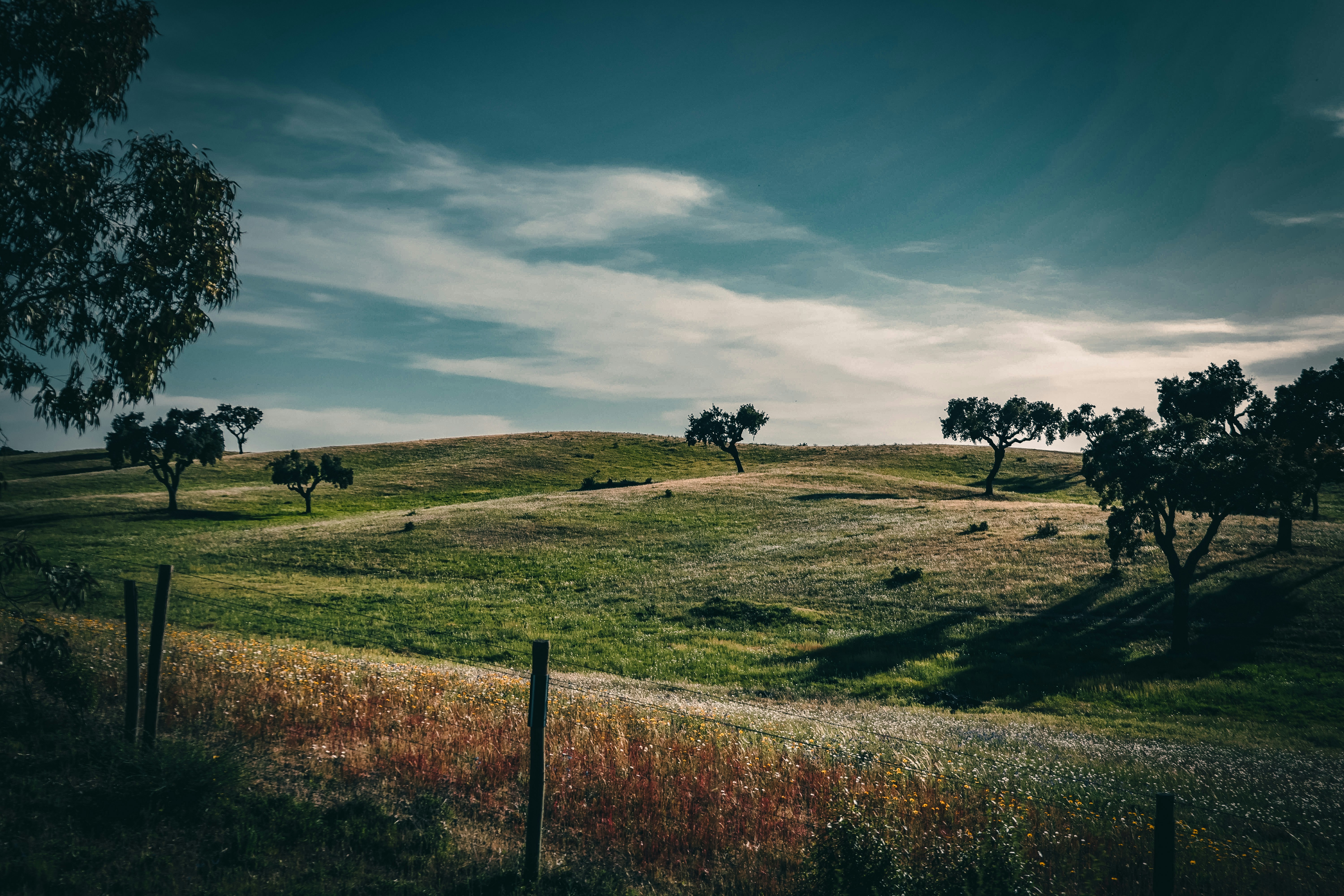 Melhores de Alentejo: Descobrindo a Beleza Rústica e a História Rica