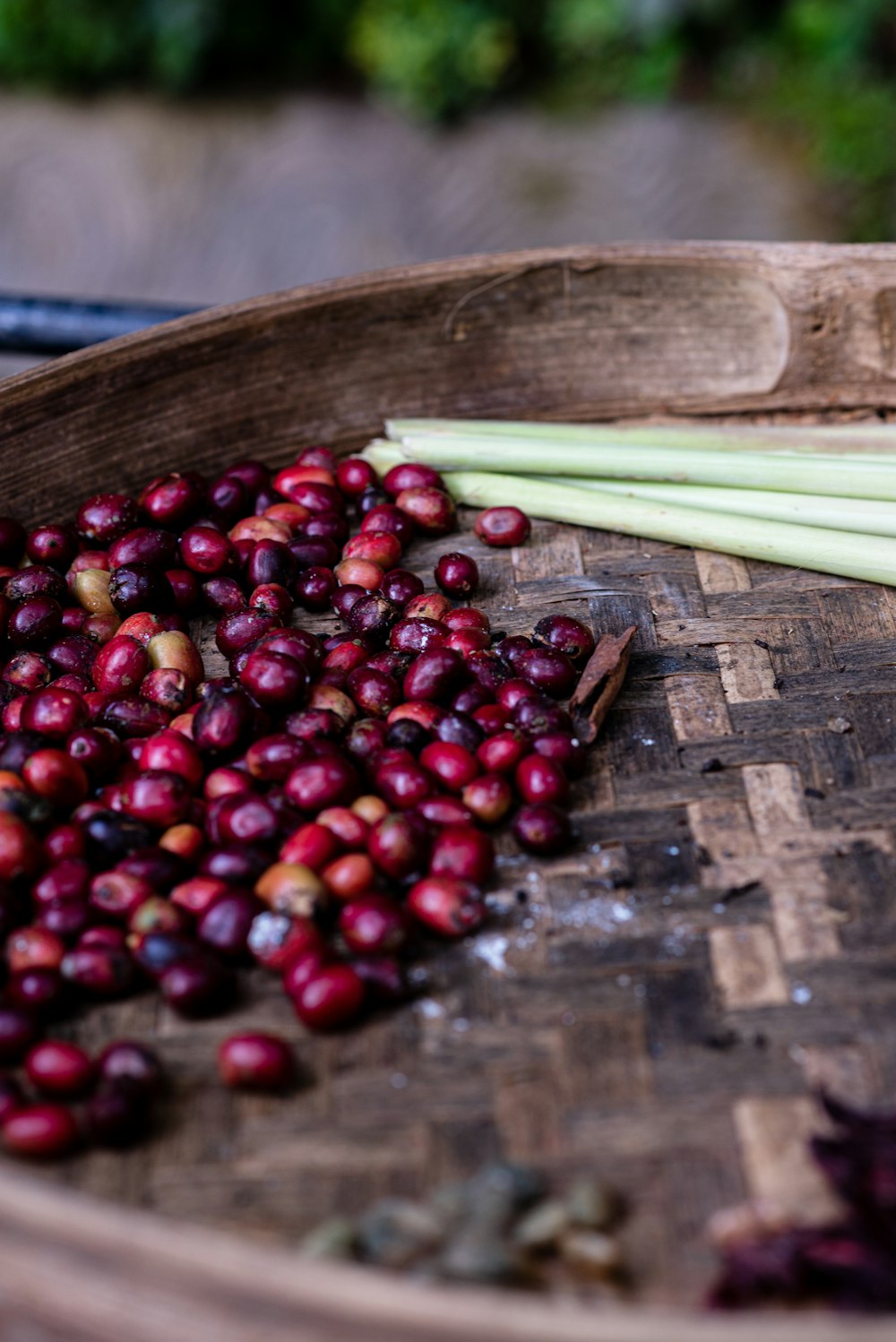 a wooden bowl filled with cranberries and celery