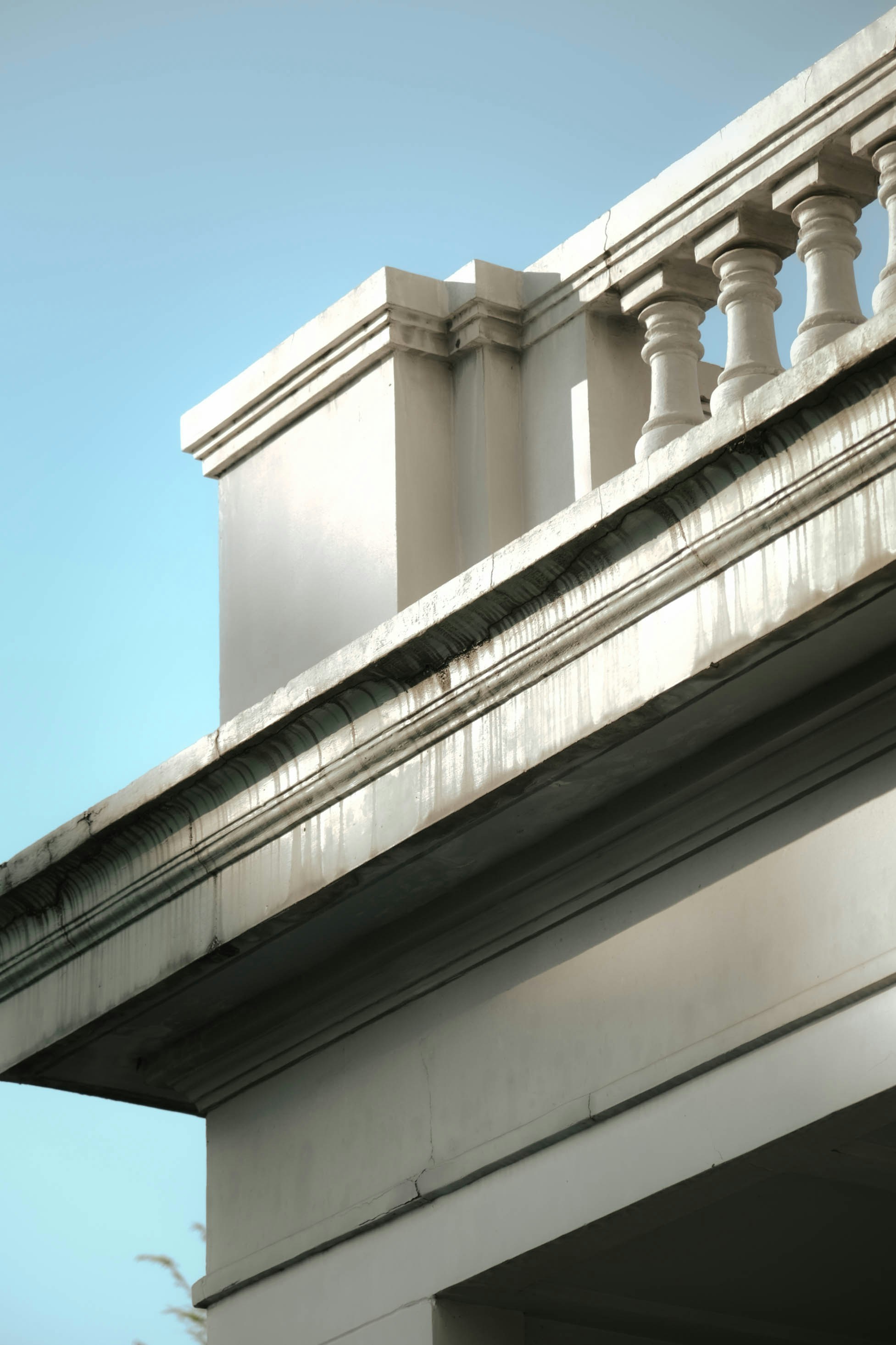 a bird is perched on the top of a building