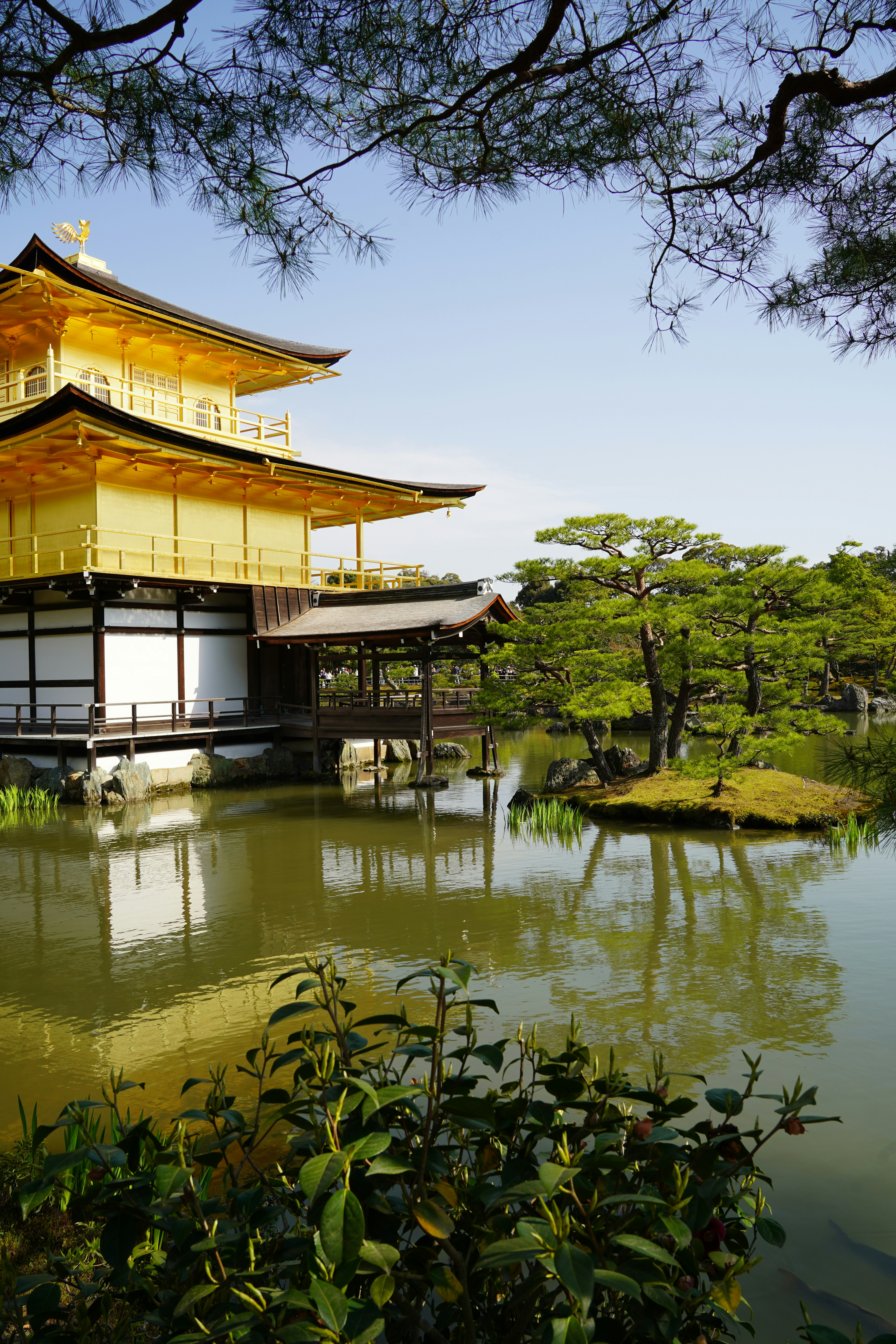 Photo by shpetimujkani