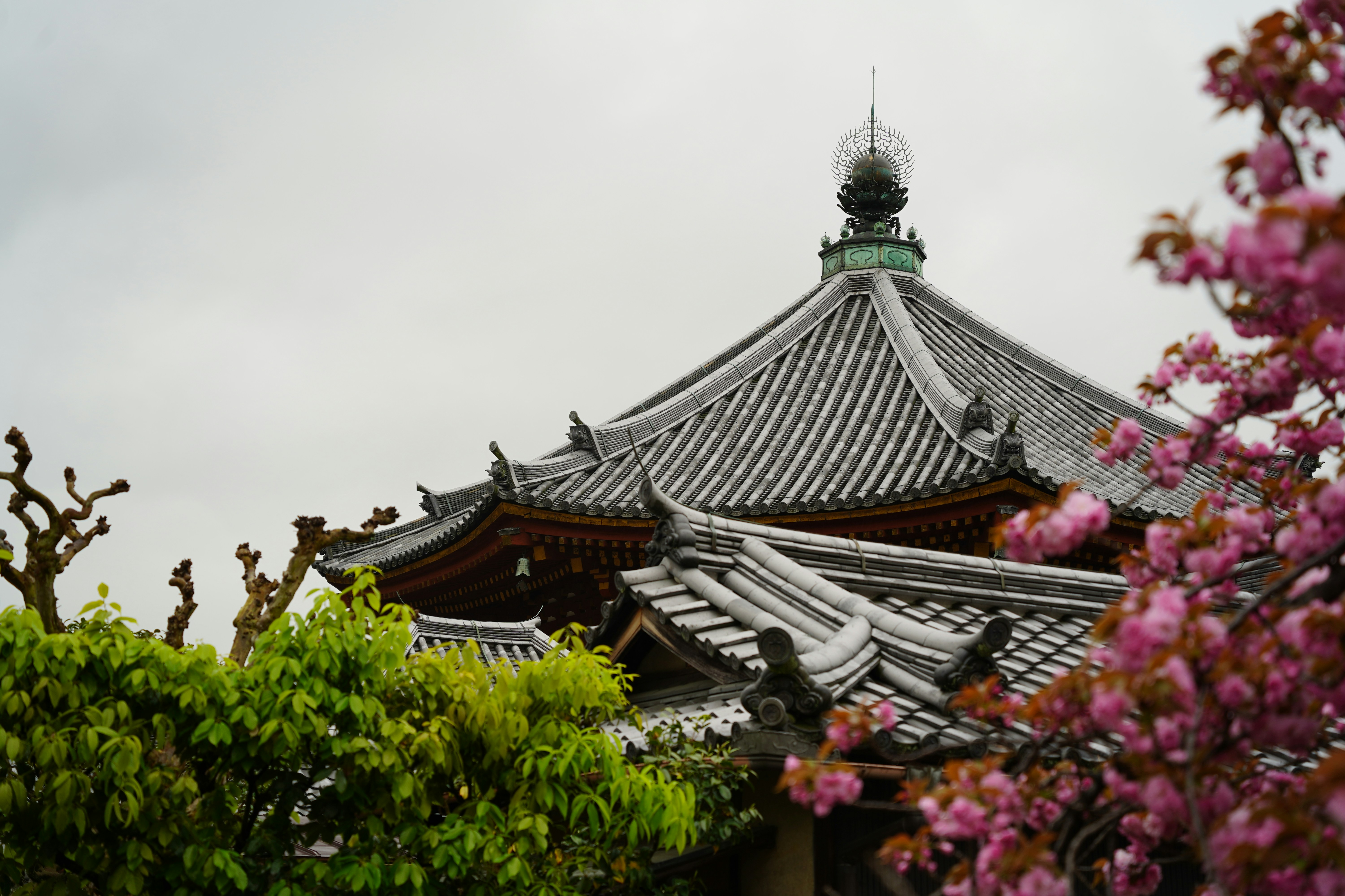 Photo by shpetimujkani