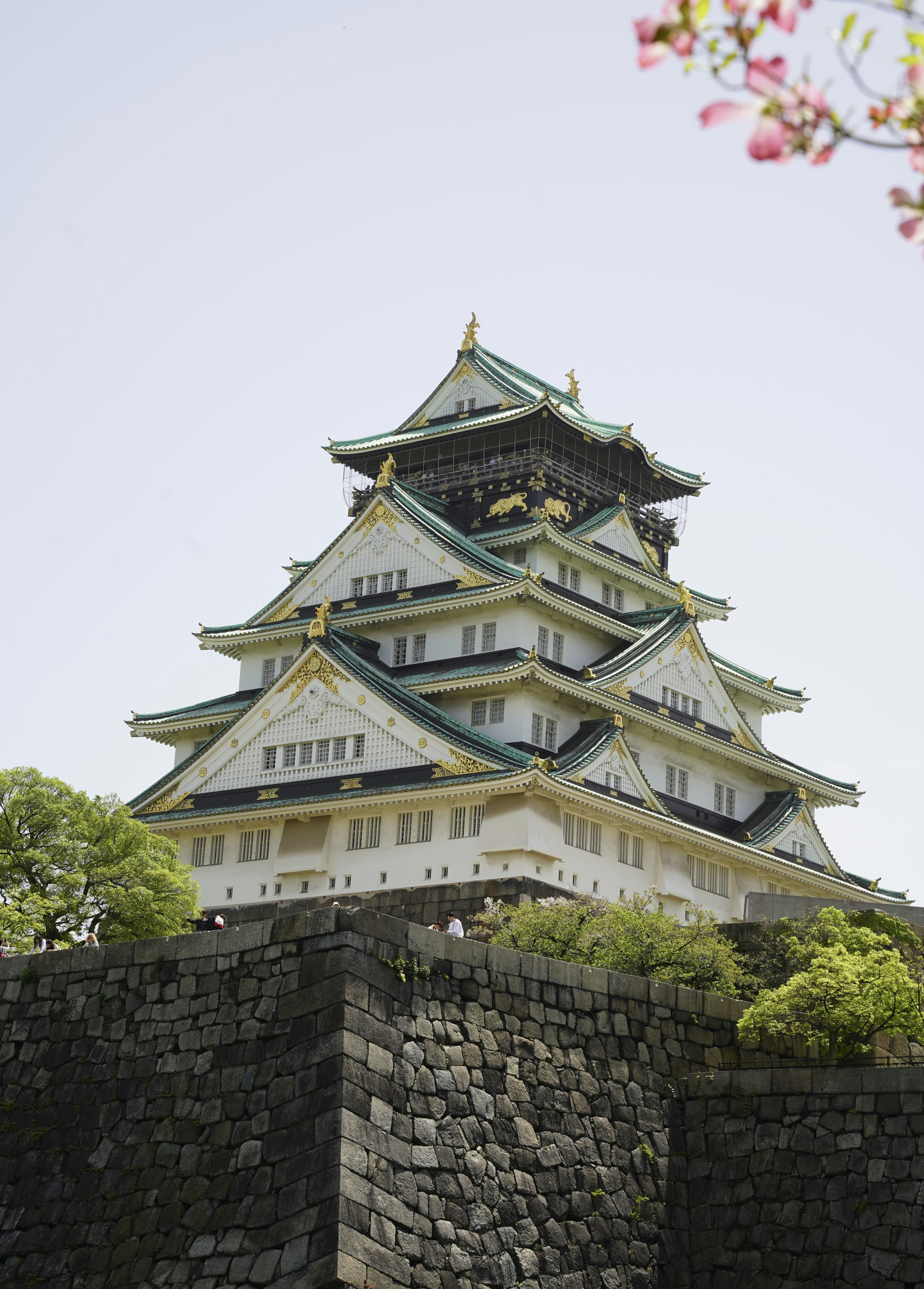 Photo by shpetimujkani