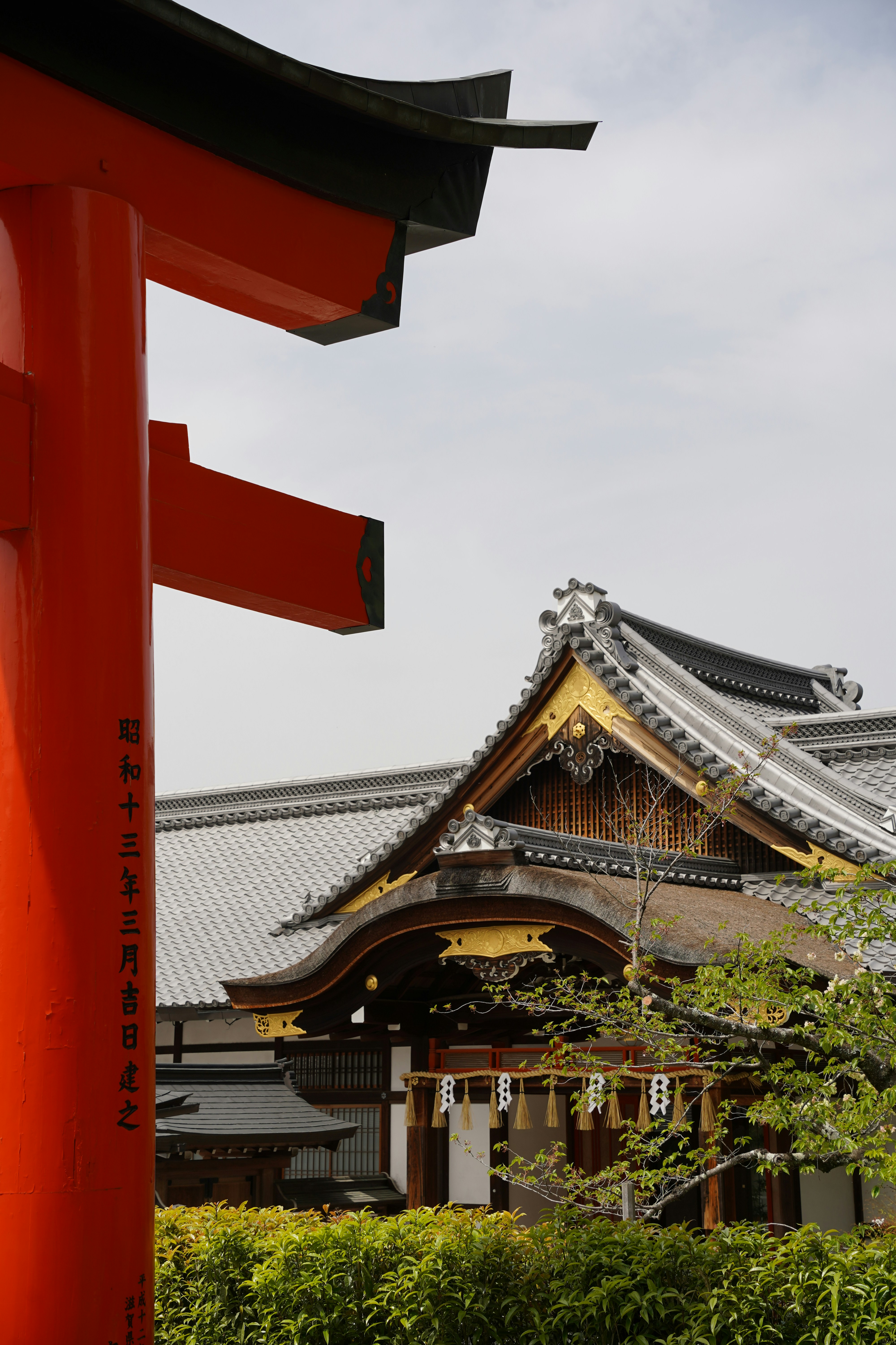 Photo by shpetimujkani