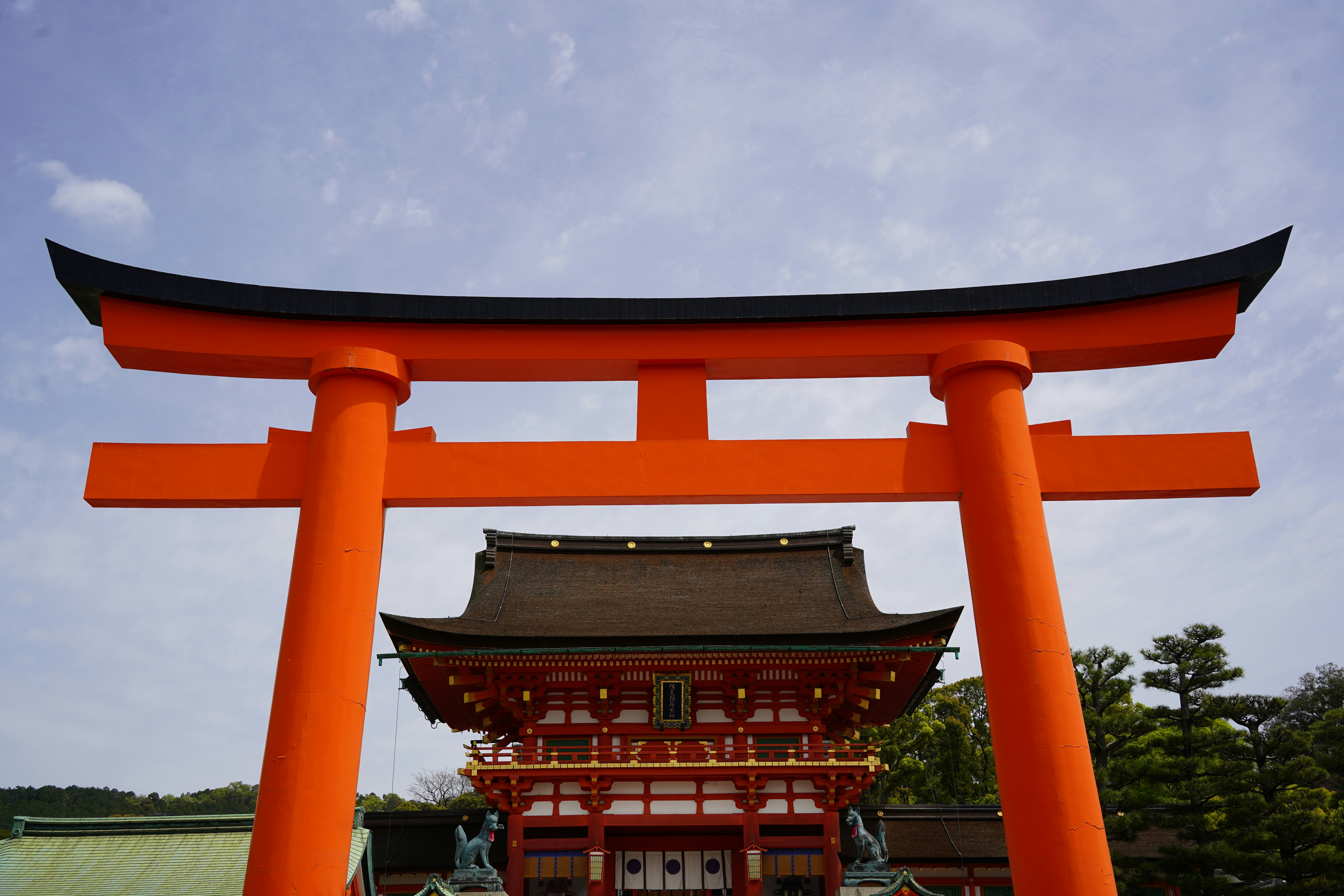 Photo by shpetimujkani