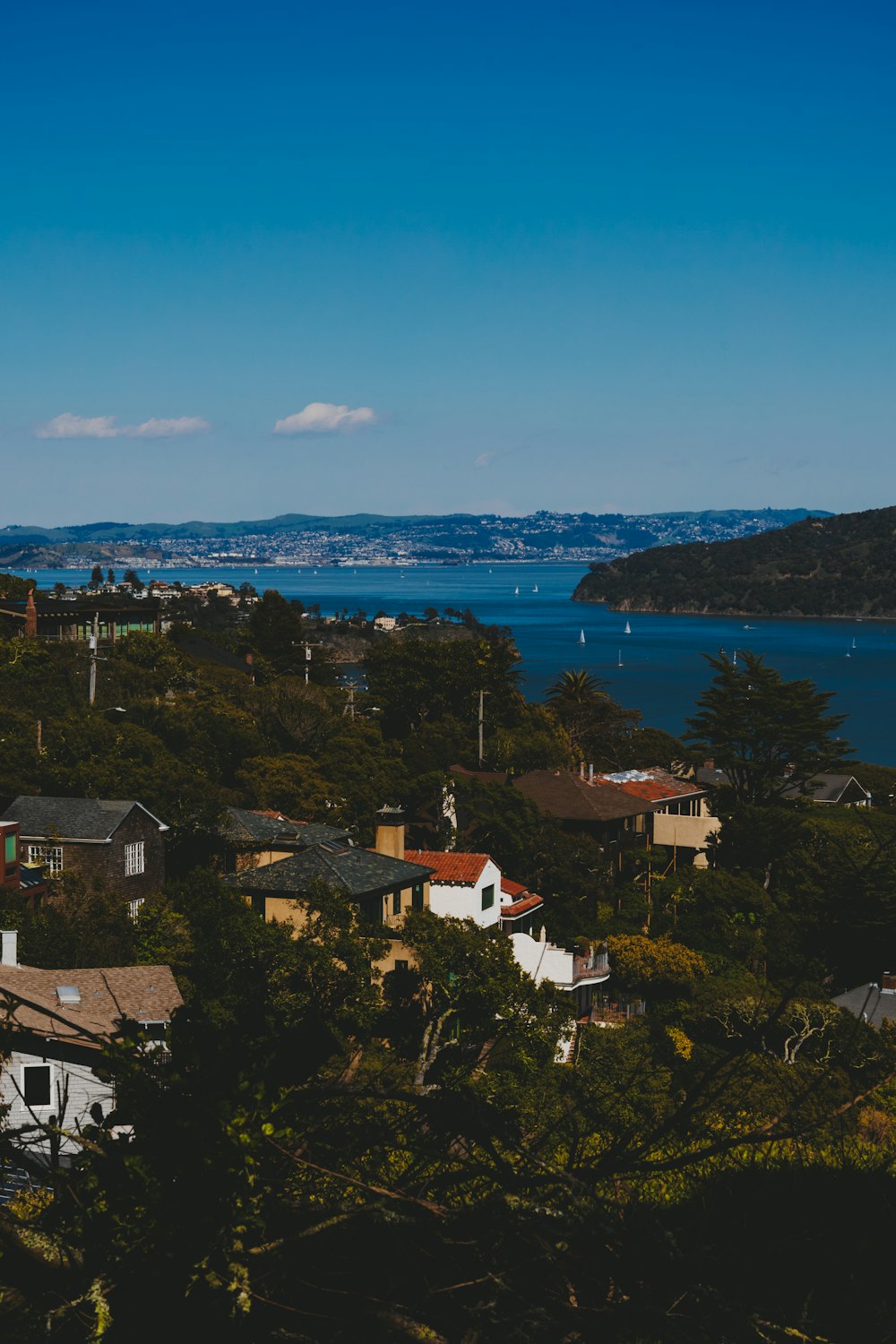 a view of a town with a body of water in the background