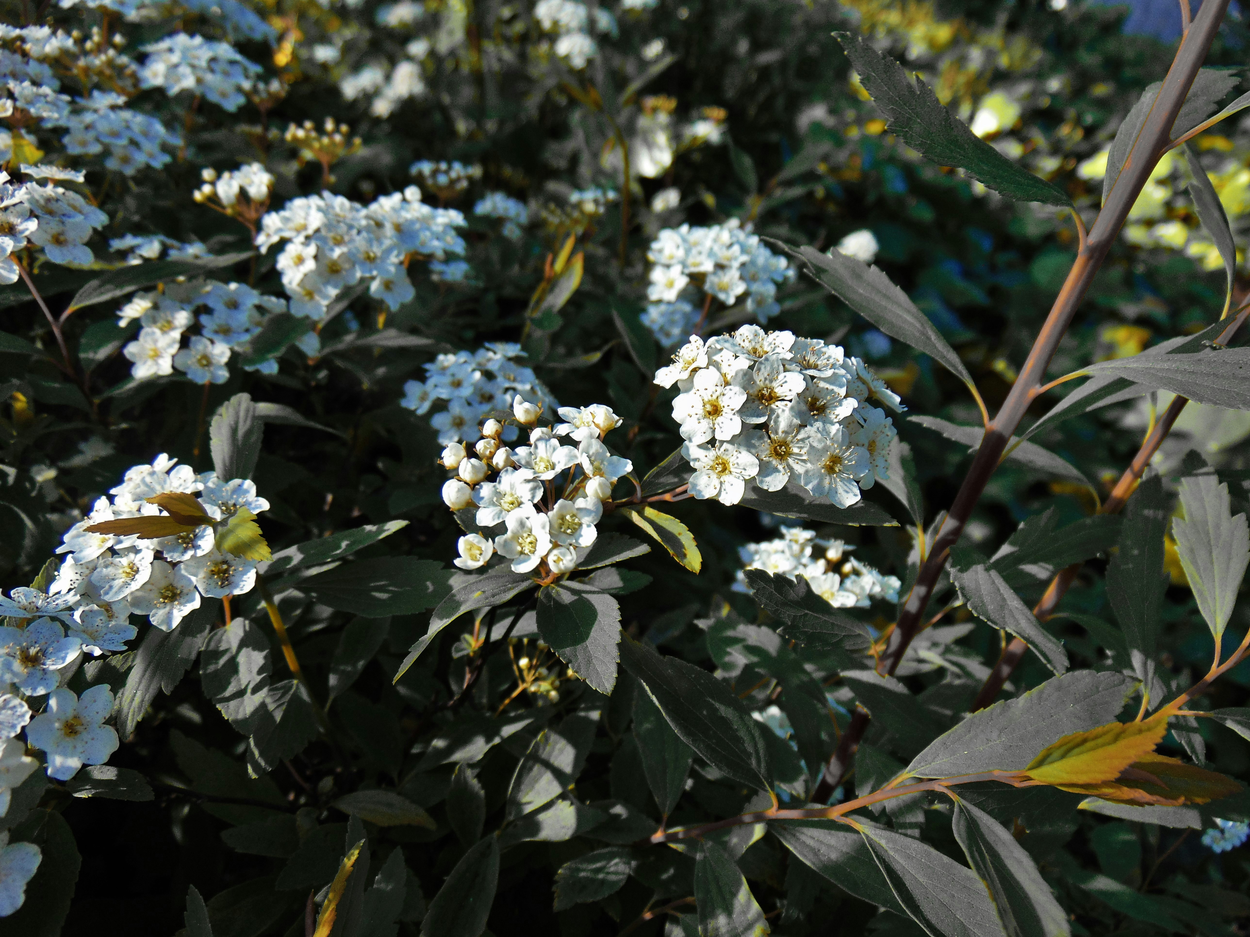 Photo by olivia_brewer2002