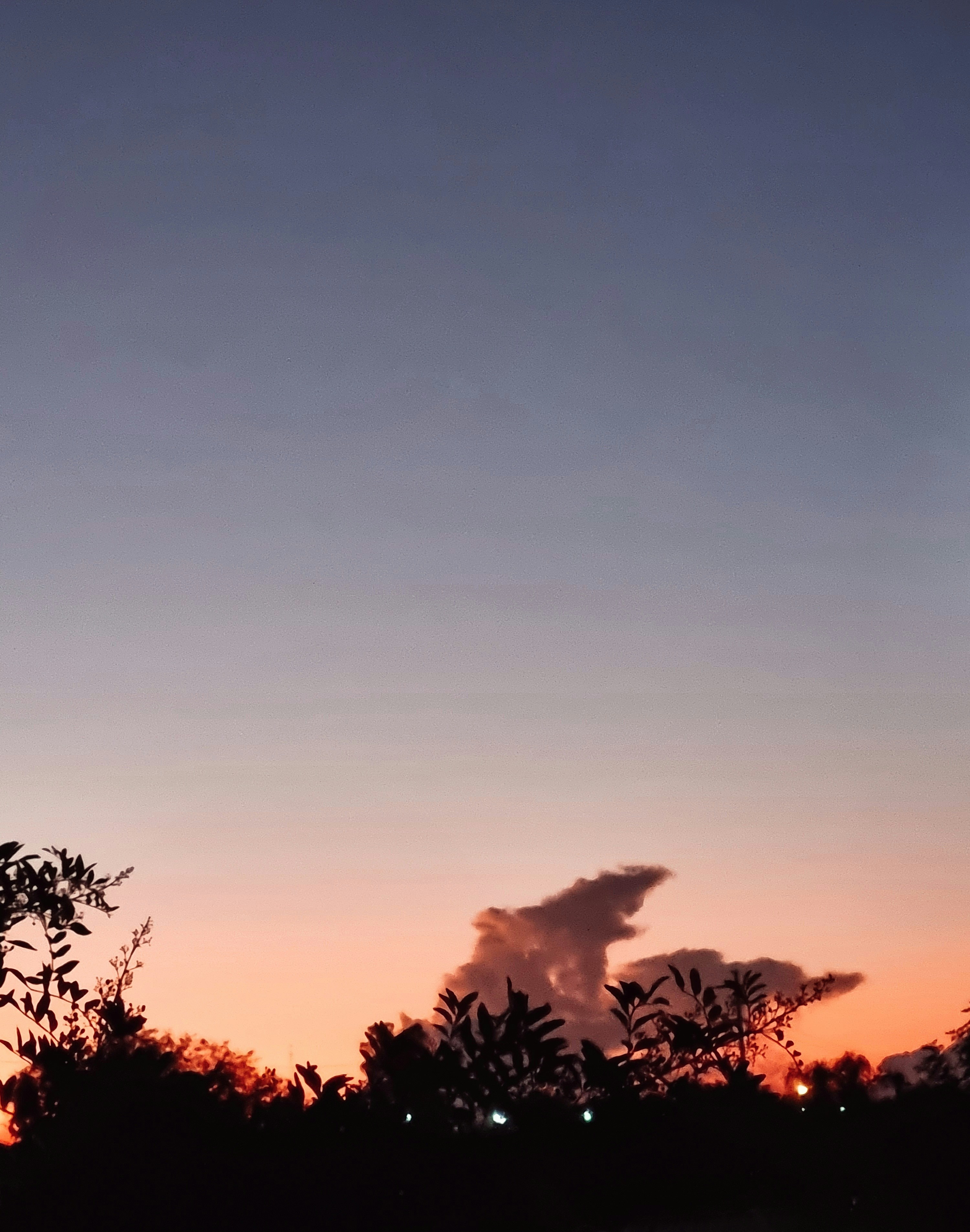 Photo by ezesphotos_pro