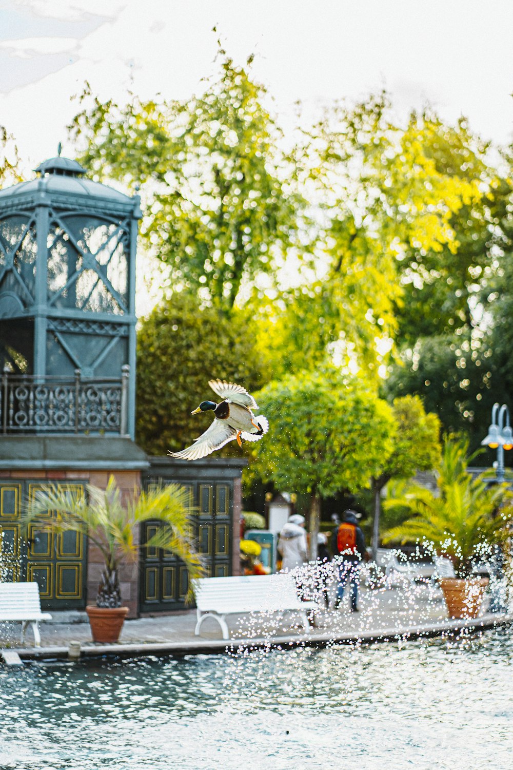 a bird flying over a fountain in a park