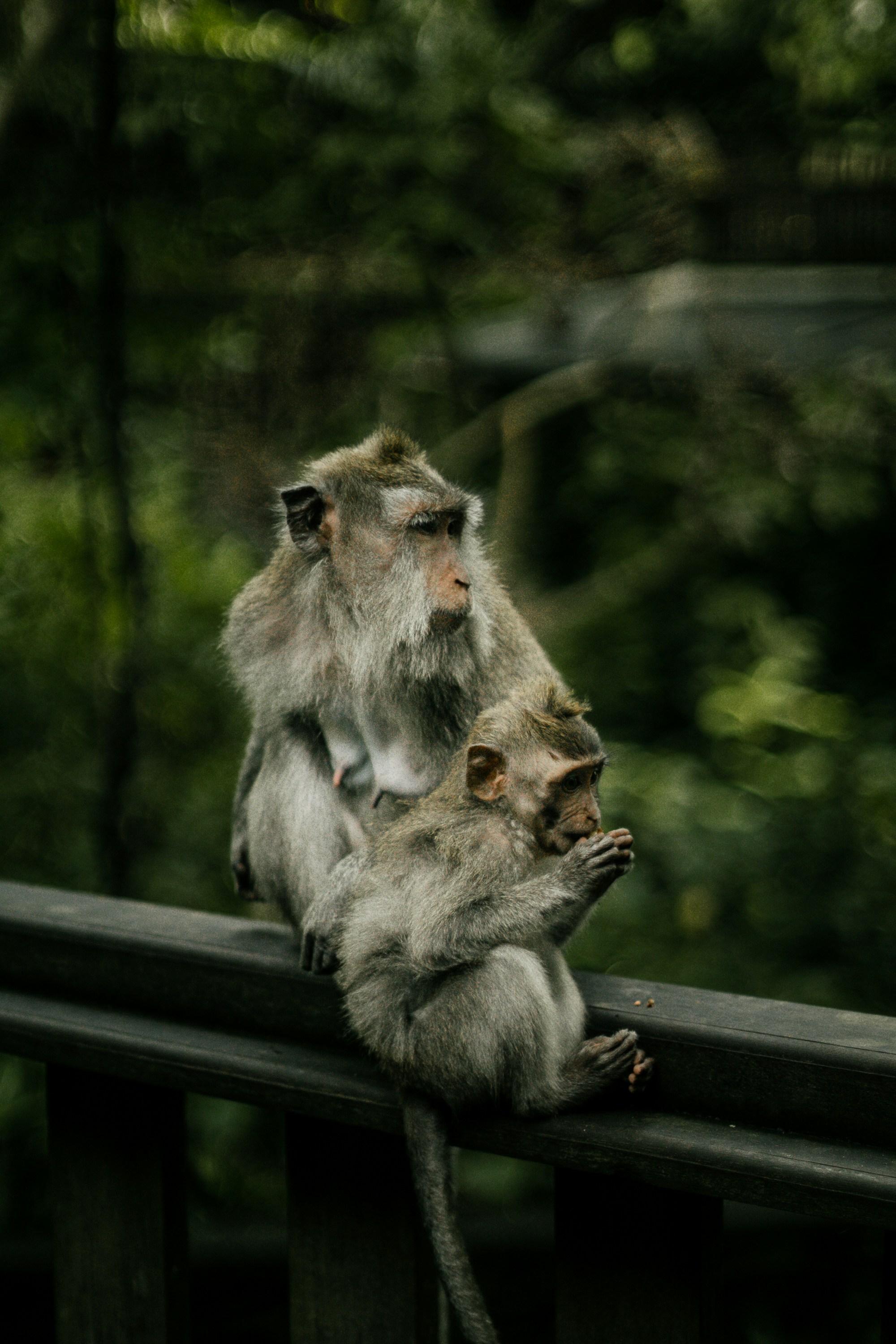 Photo by faithmariii