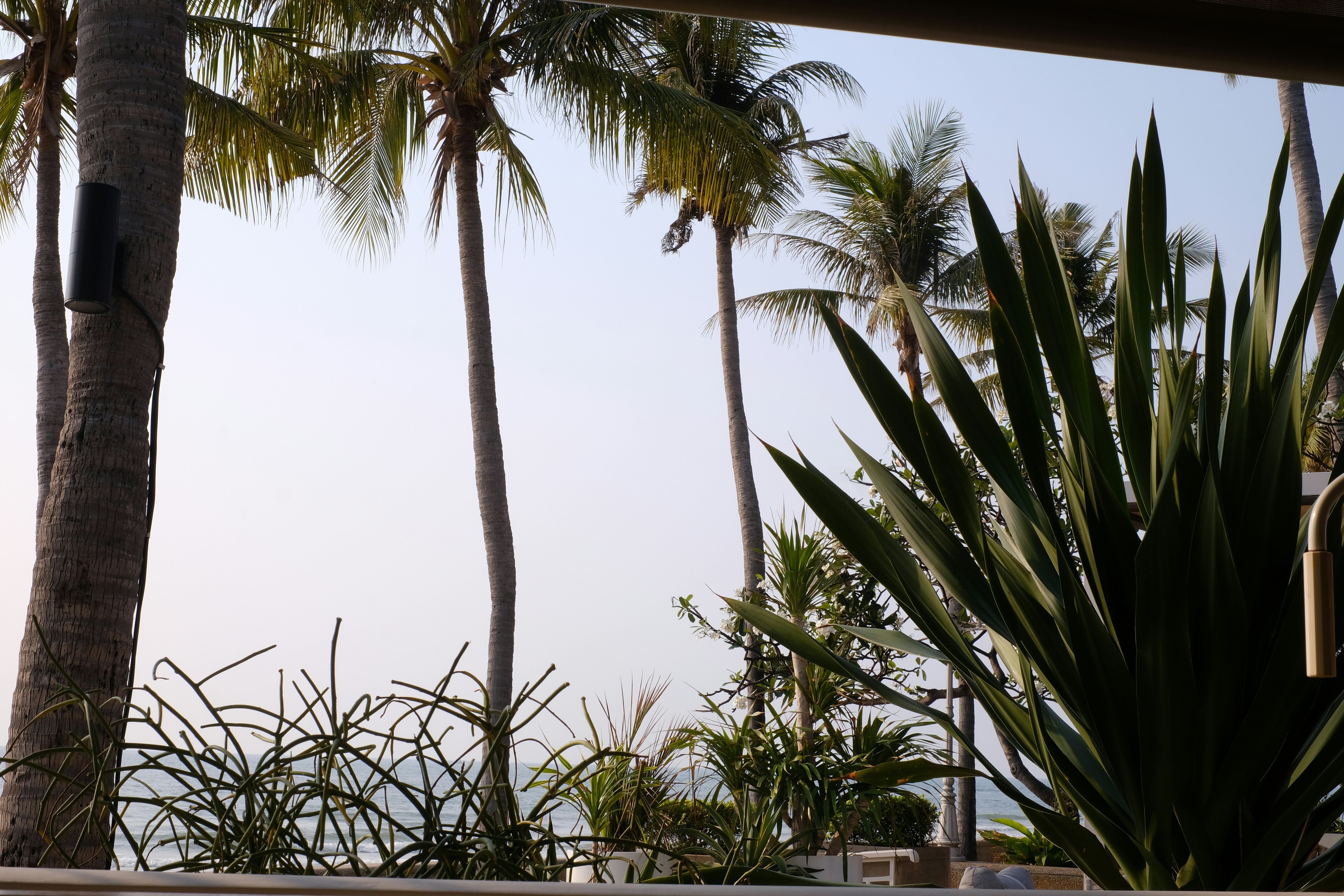 a view of a beach through a window