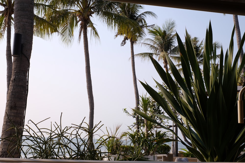 a view of a beach through a window