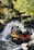 A river raft ride splashes through water surrounded by lush greenery. The bright orange raft is filled with passengers, some wearing protective gear. Water sprays dramatically around the vessel, indicating high-speed movement and excitement.