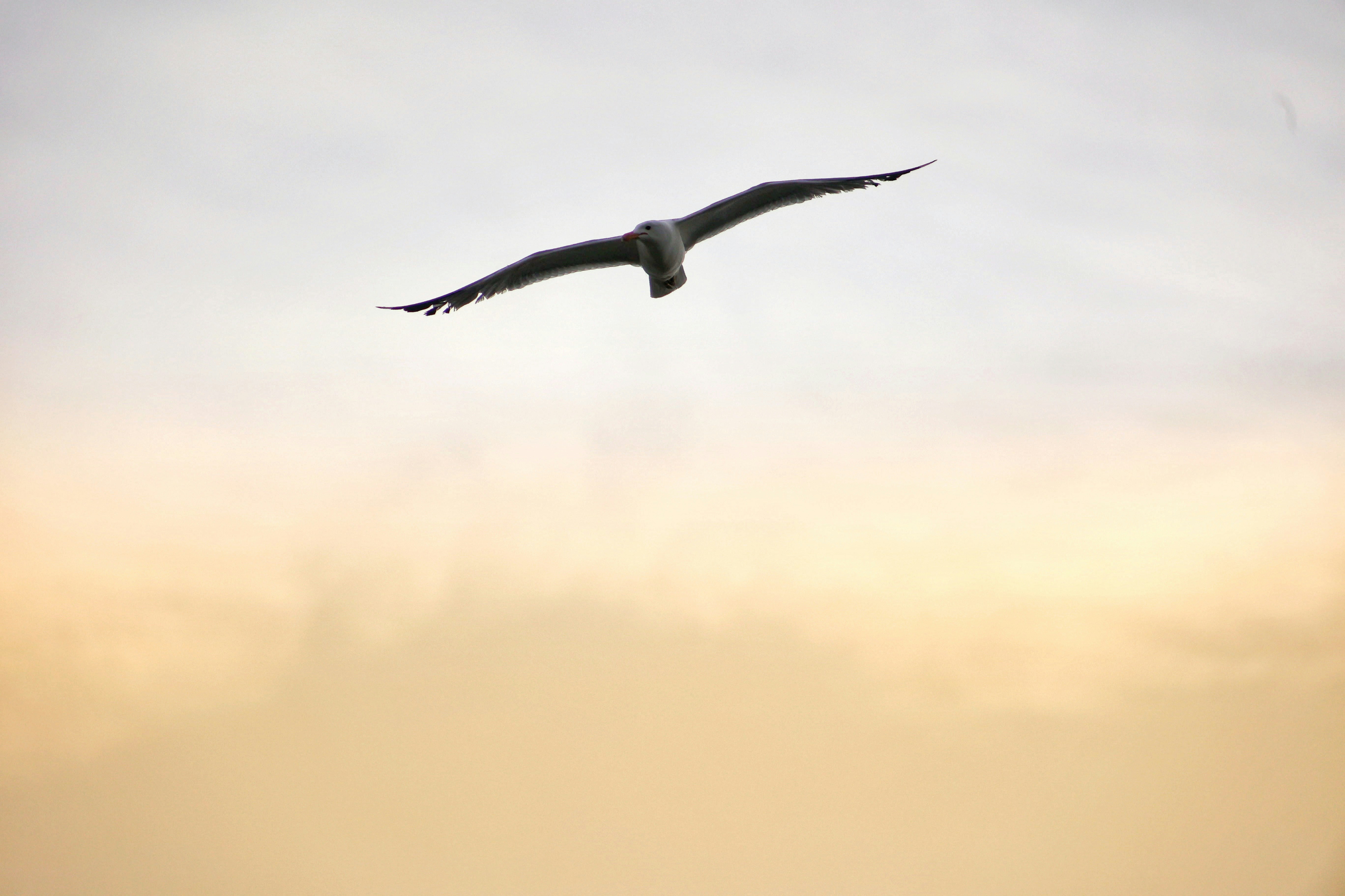 Photo by joshua_hoehne