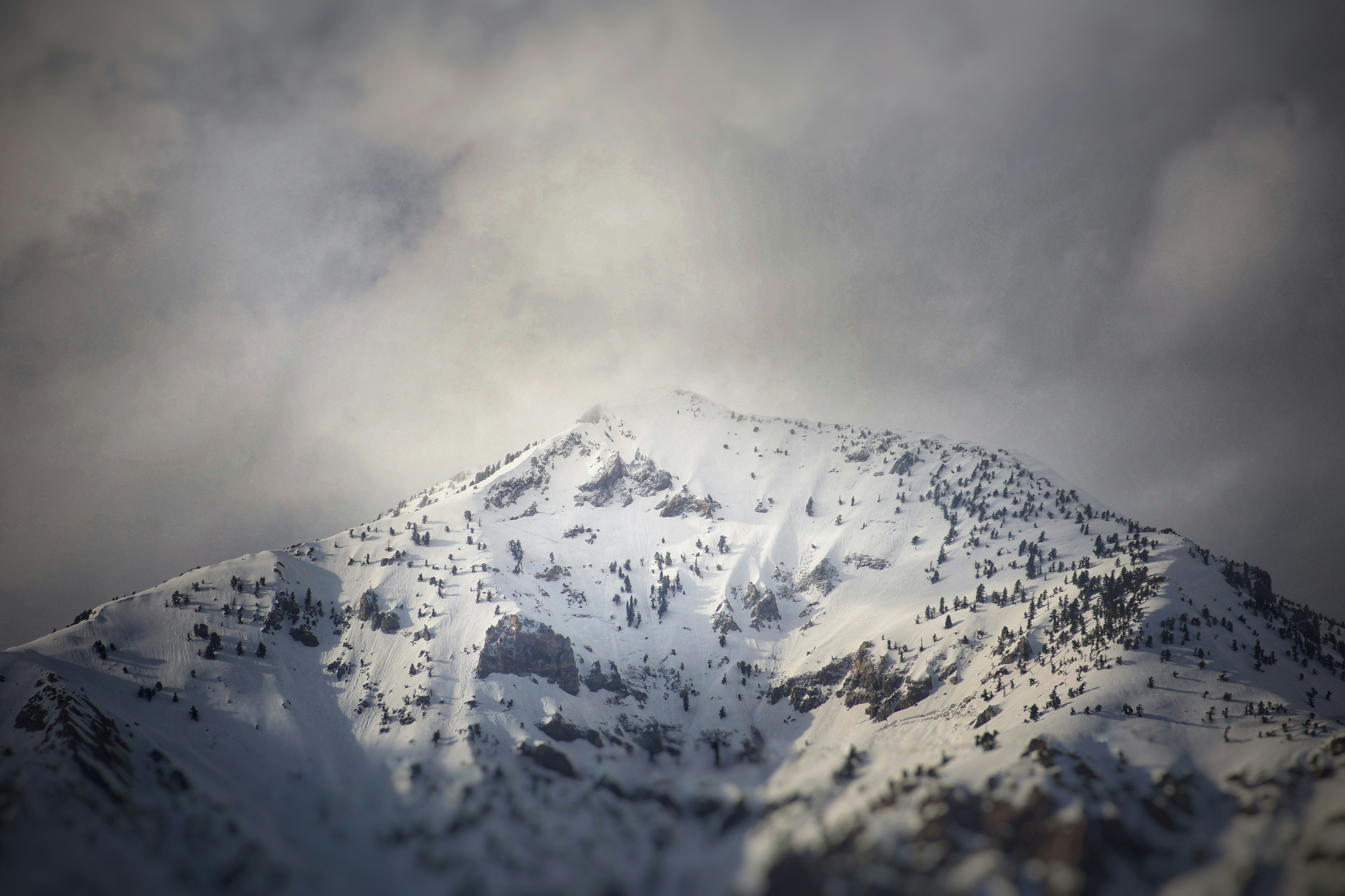 Photo by joshua_hoehne