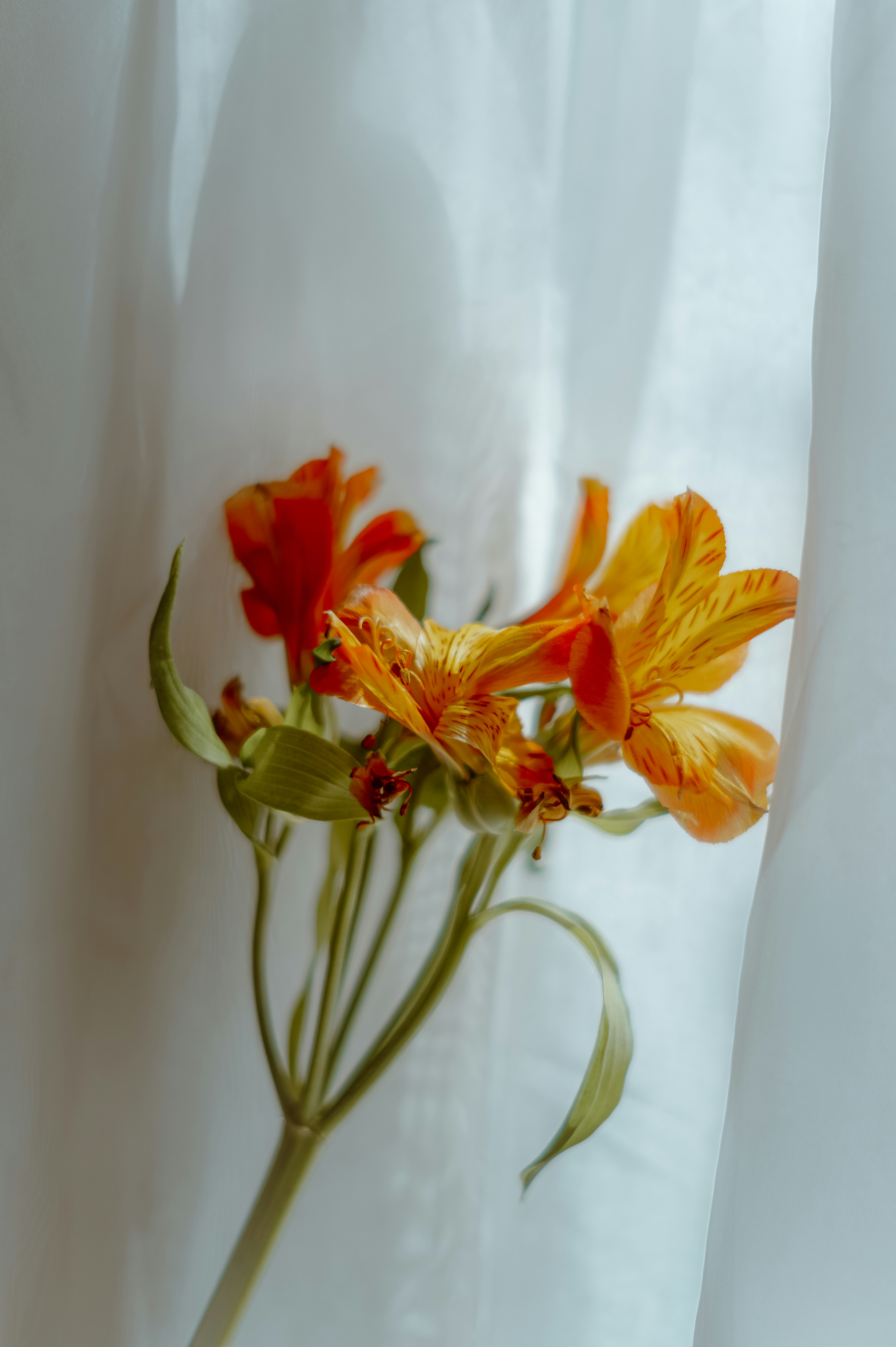 Photo by itsomidarmin