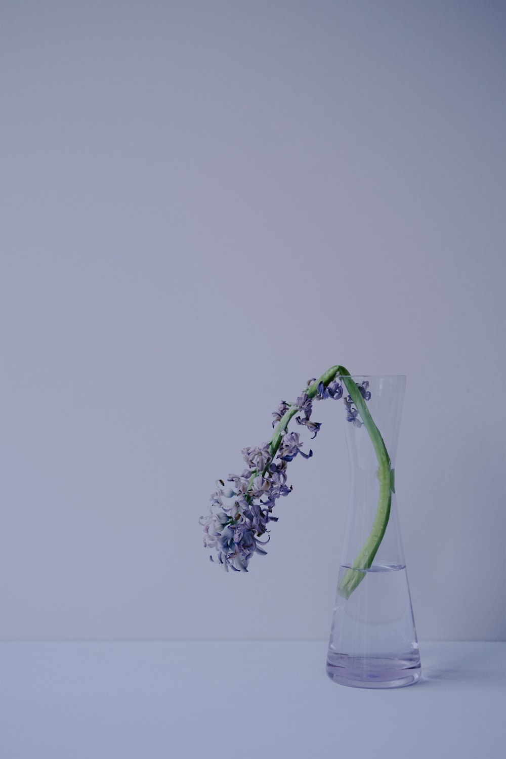 a flower in a glass vase on a table