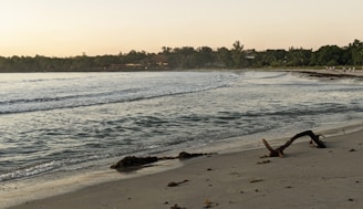 A serene beach scene at sunset with a bottle of Beach Block lotion placed on driftwood.