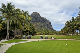 A lush golf course spans across the foreground, dominated by vibrant green grass and bordered by tall palm trees. Several golf carts are parked along a path, with a majestic mountain rising in the background under a partly cloudy sky.