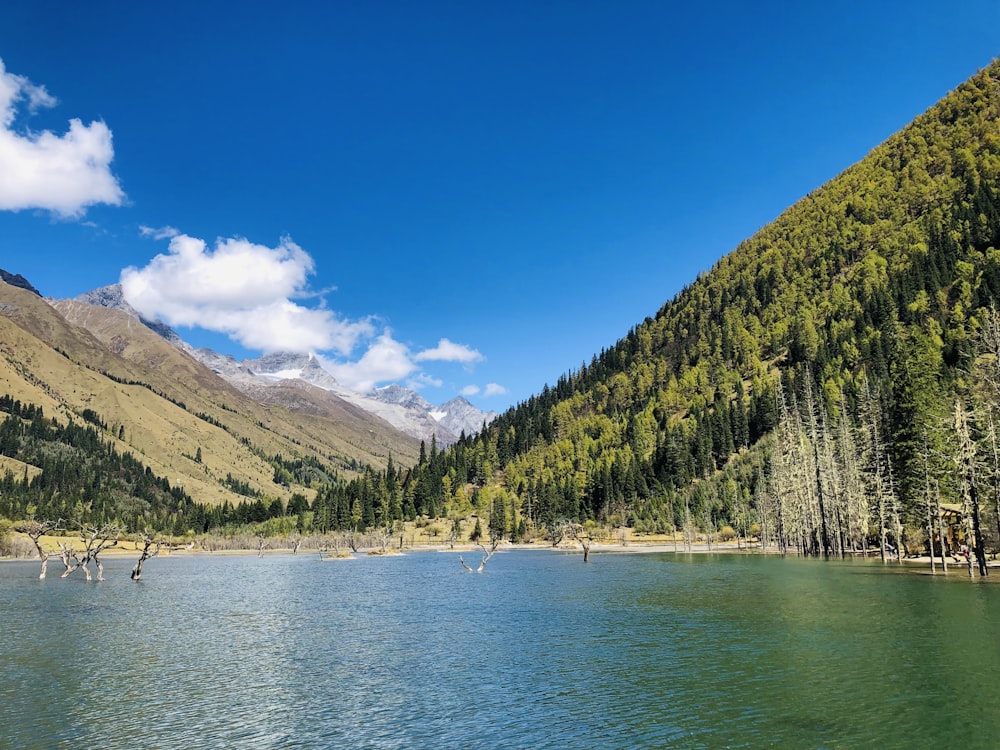 a body of water surrounded by mountains and trees