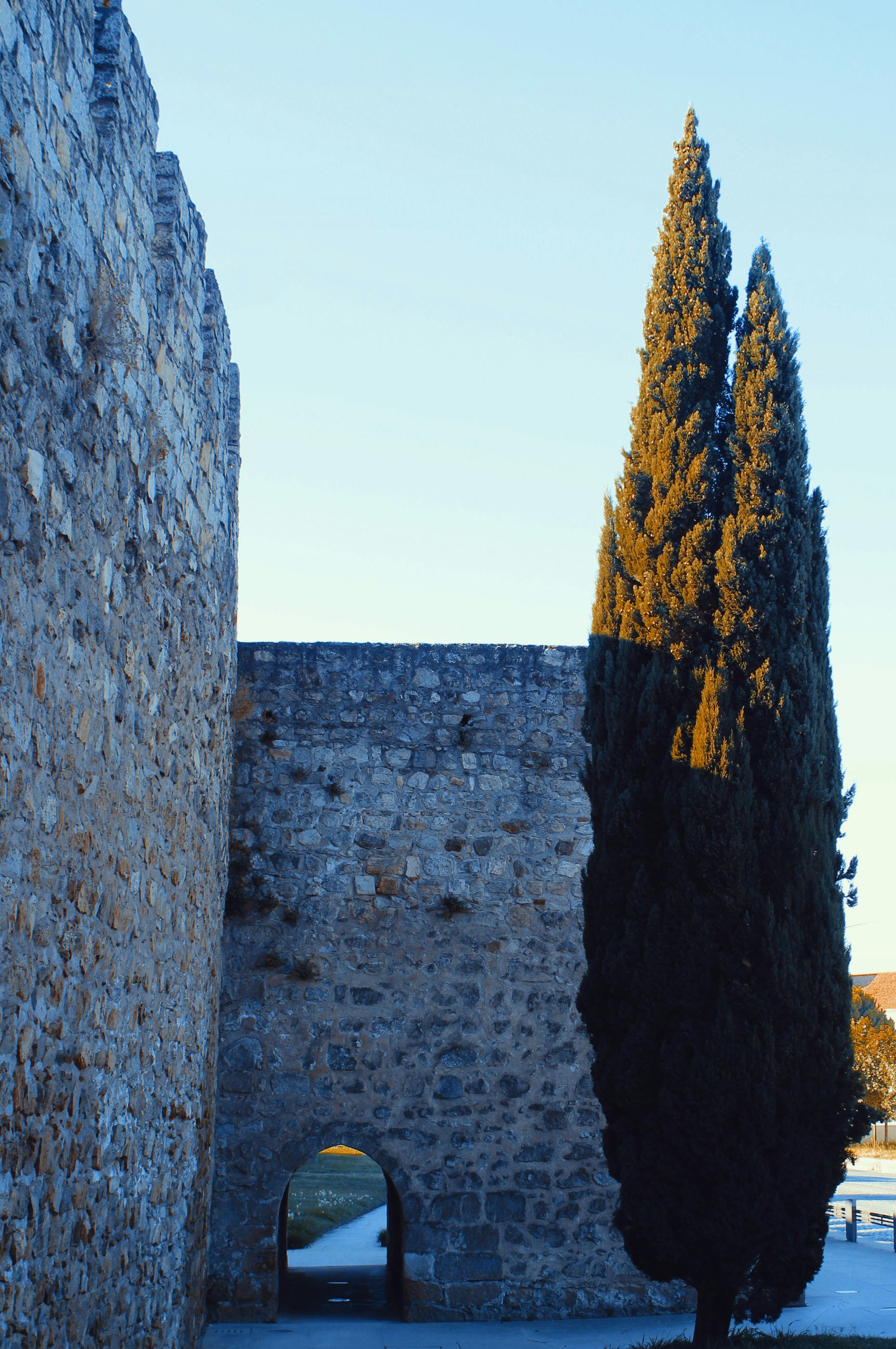 Photo by yaramacchado