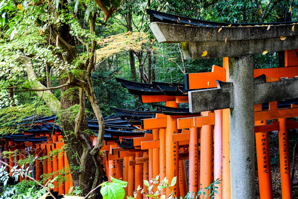 a row of orange tori tori tori tori tori tori tori tori tori tori tori tori