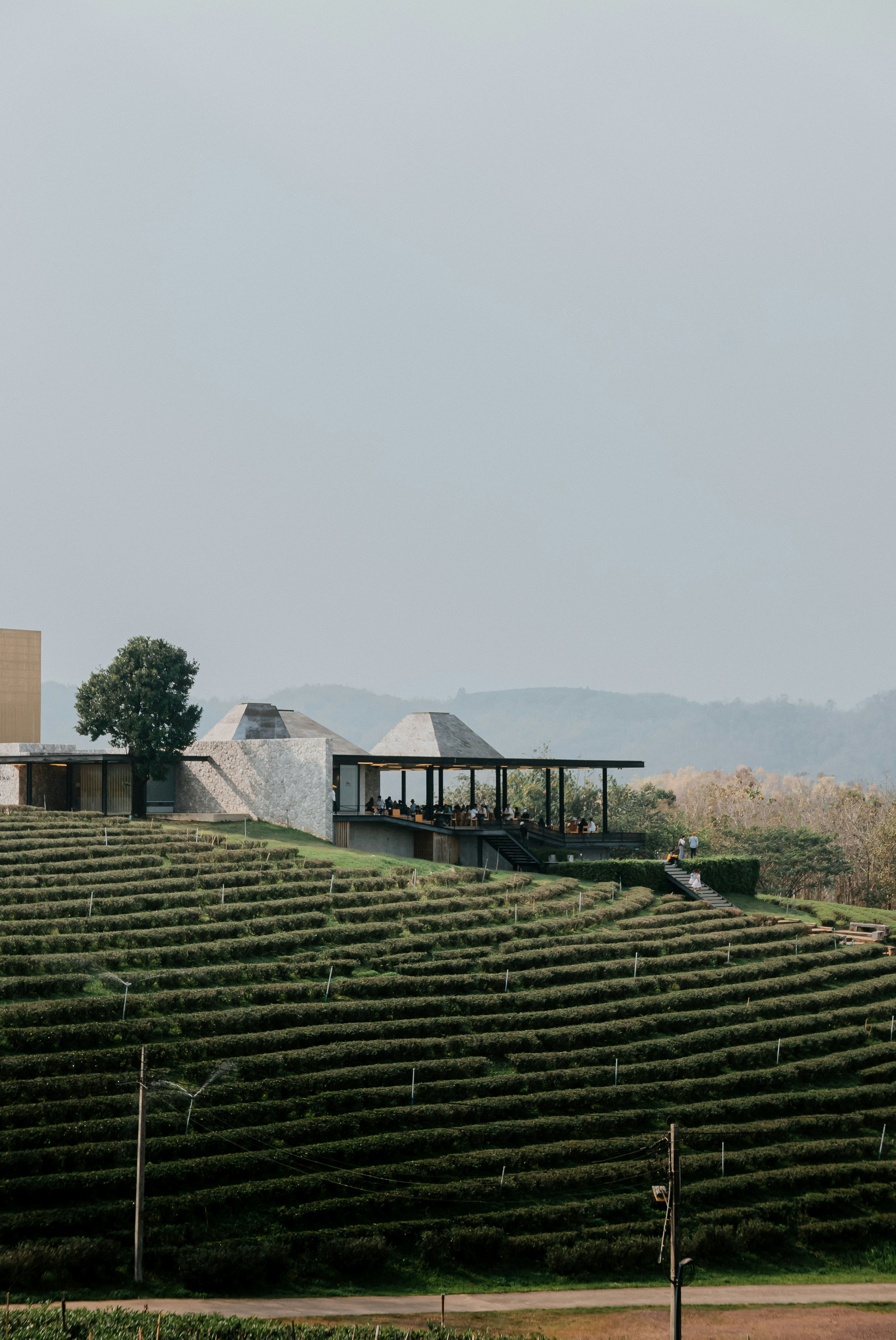 a large field of grass with a building in the background