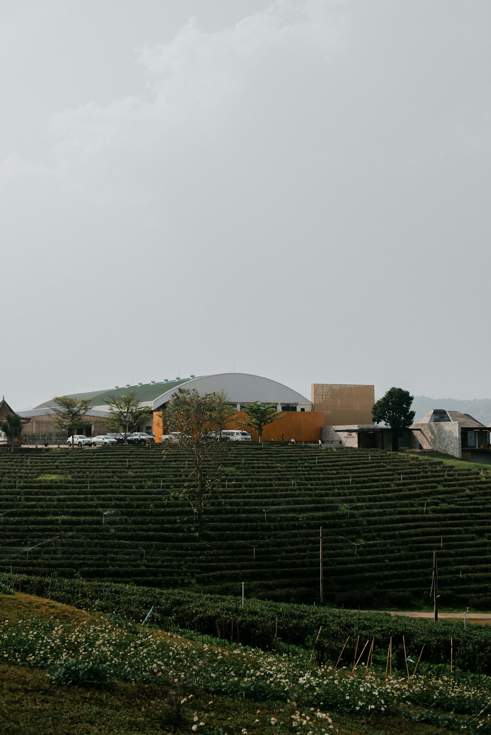 a large field of grass with a building in the background