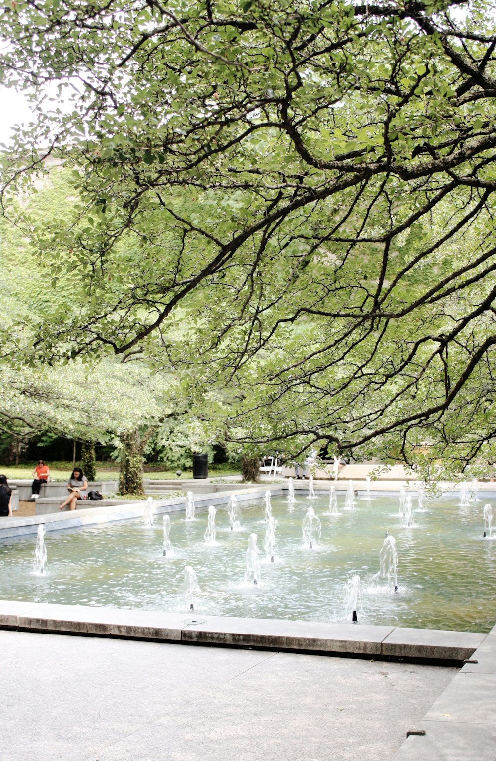 a park with a fountain and people sitting on benches