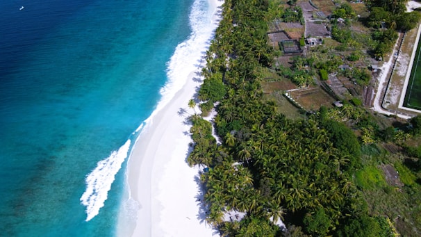 An aerial view of Bali's coastline with vibrant colors.