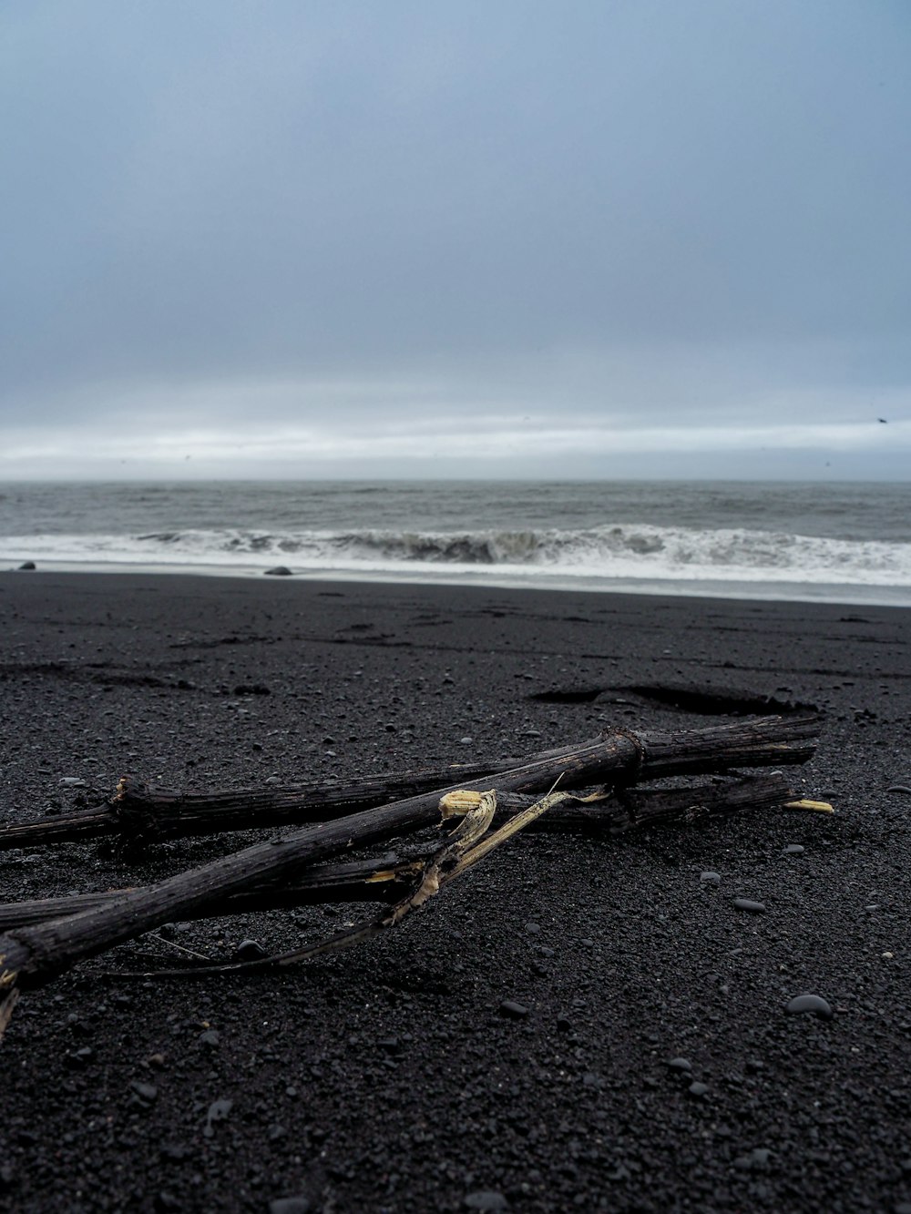 ein Stück Holz, das auf einem Strand sitzt