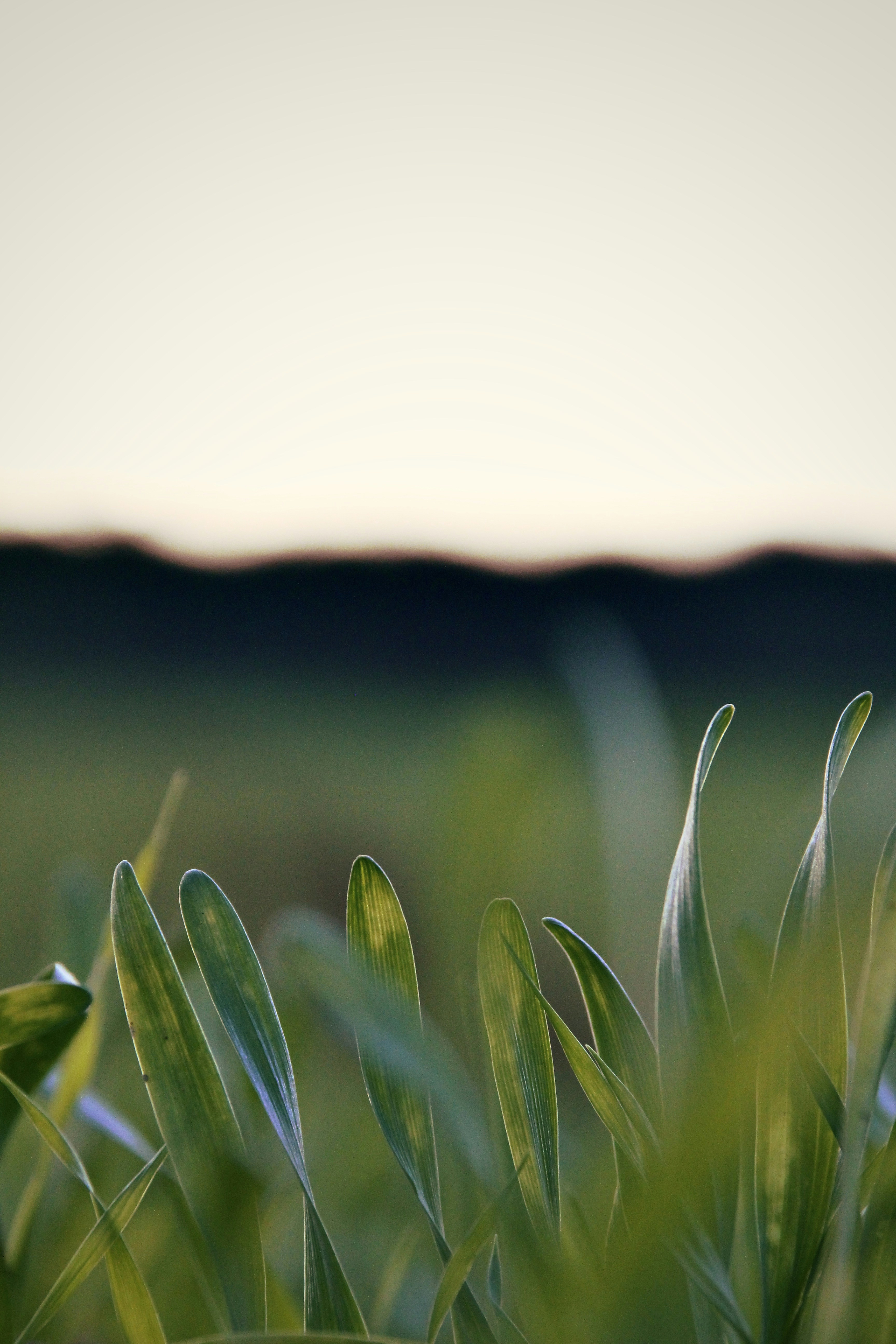 Photo by hannahlerch